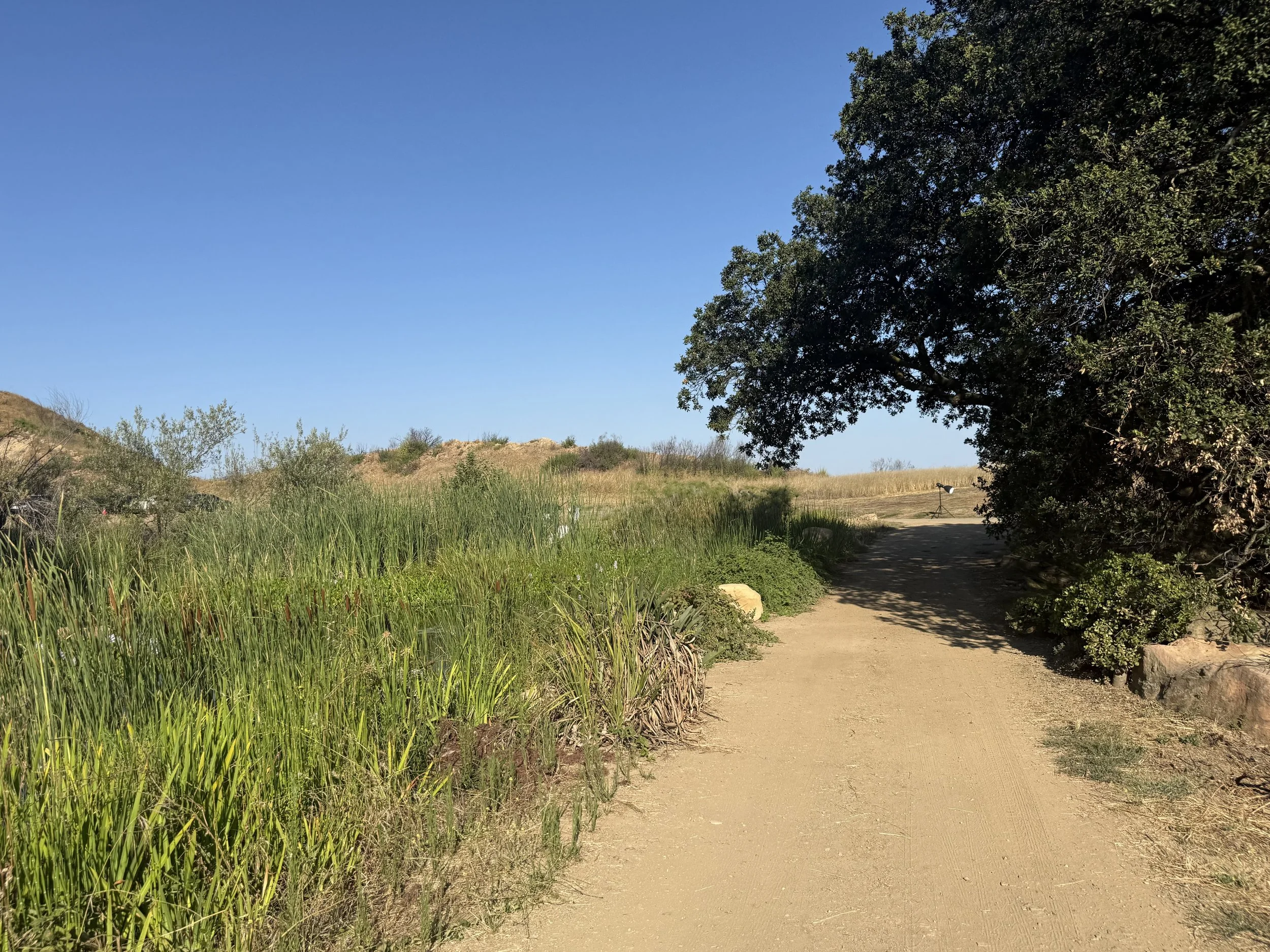 11-Filmland-Coastal Legacy House-Grounds-11.jpeg