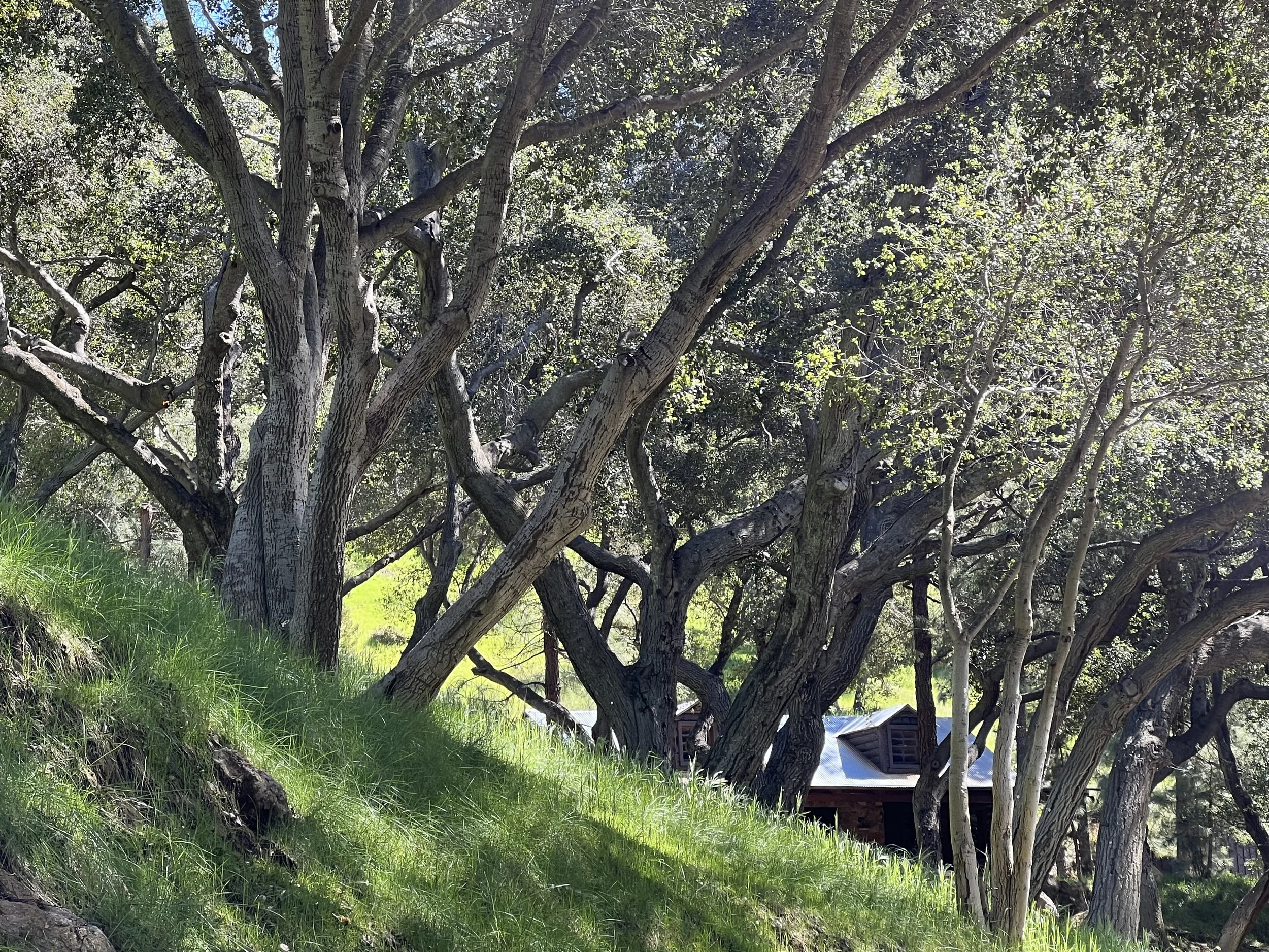 Filmland-Golden Summit-Cabin-1.jpeg