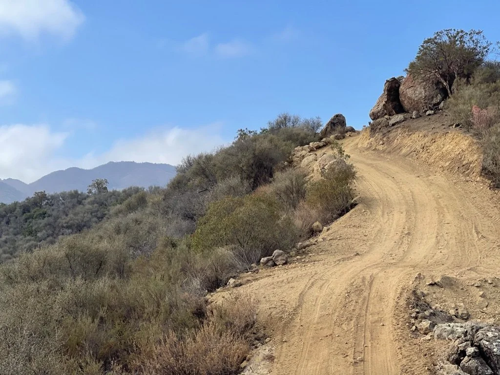 Filmland-Golden Summit-opengrounds-4.jpeg