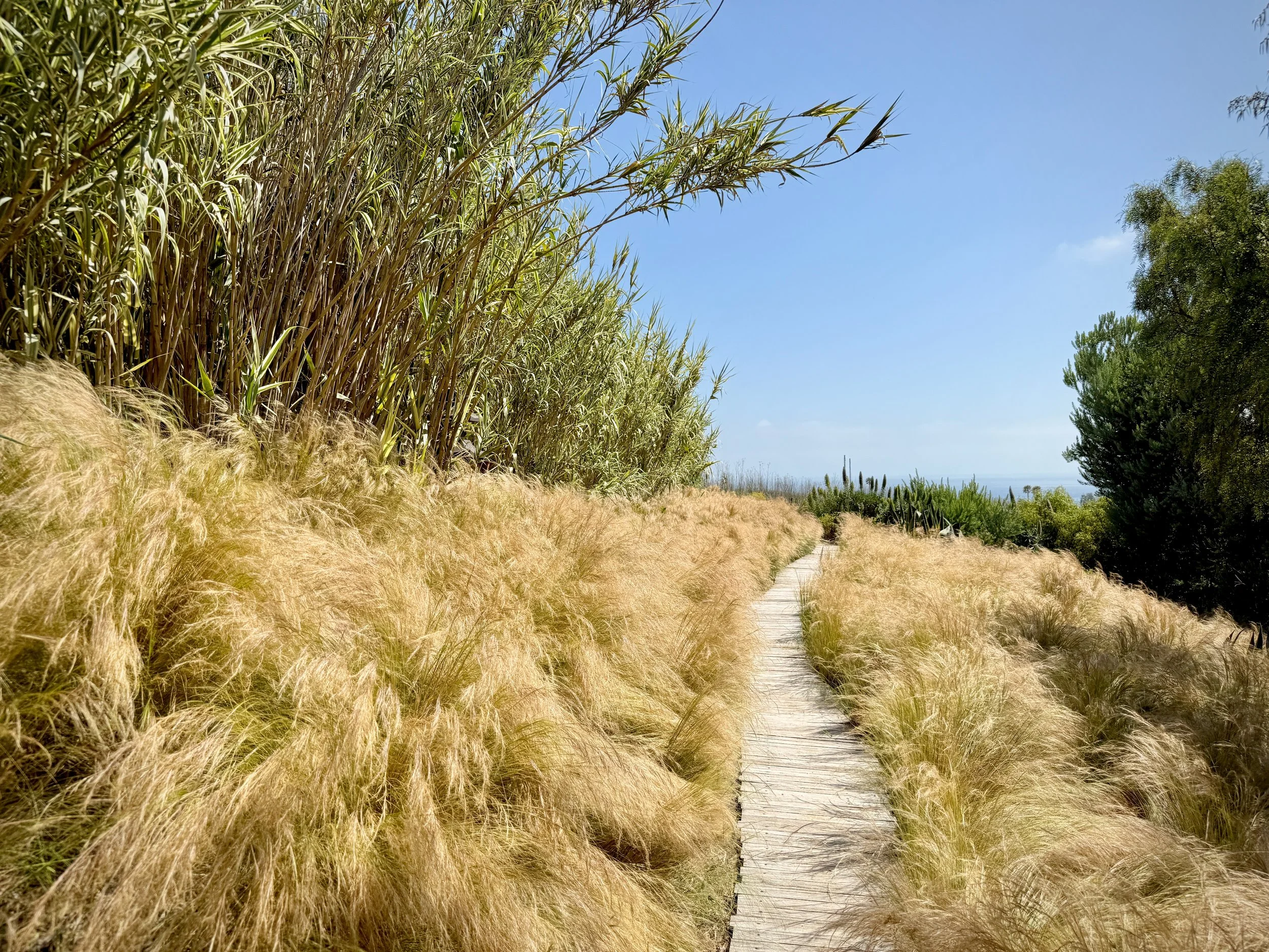 04-Filmland - PCH Garden- Open Grounds - Nature.jpeg