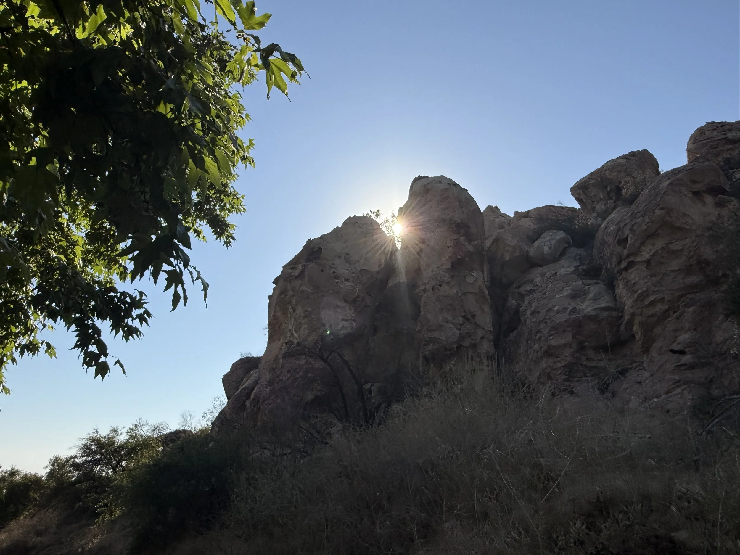 15-Filmland-Coastal Legacy House-Grounds-15.jpeg