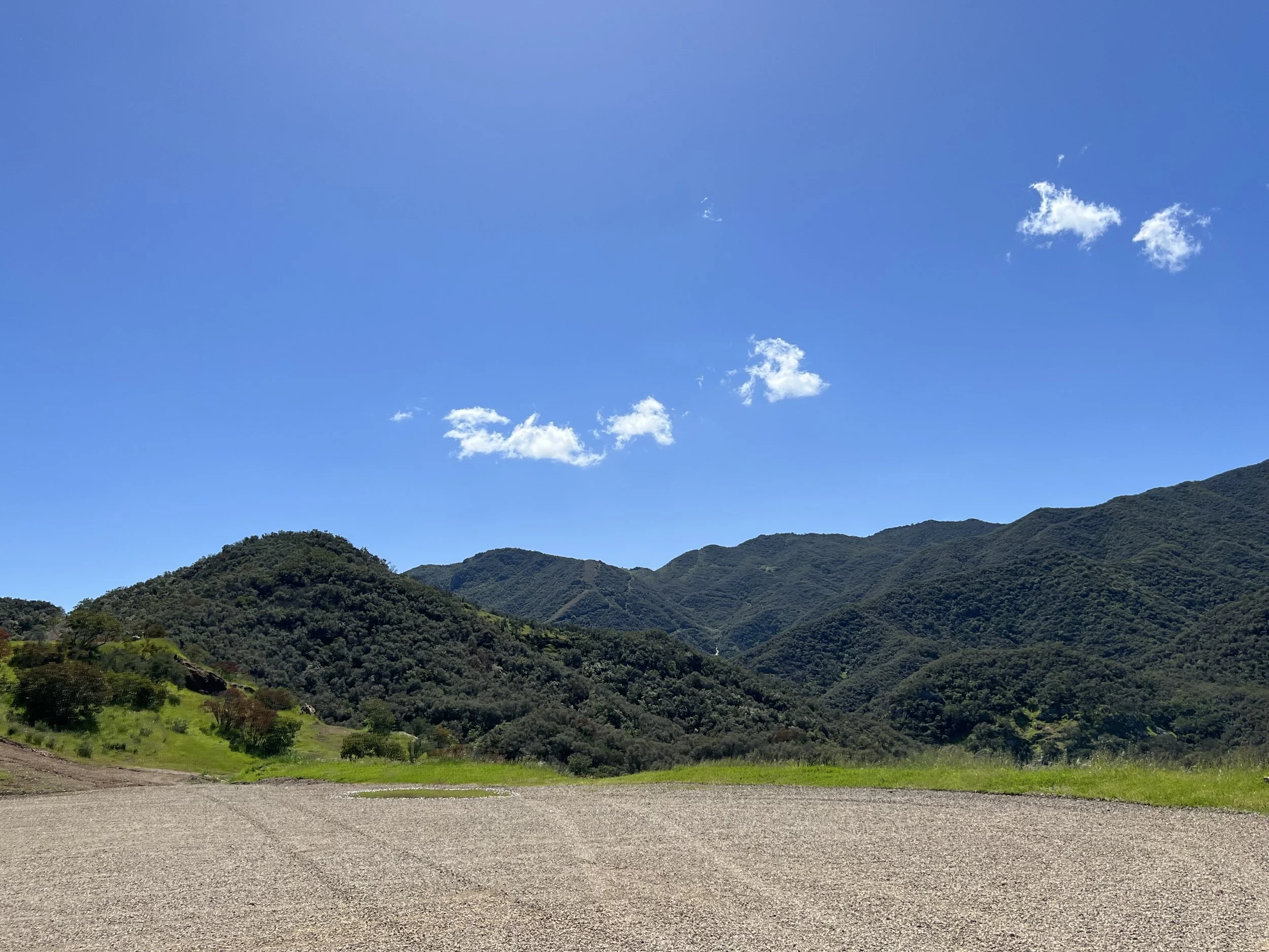 Filmland-Golden Summit-opengrounds-4g.jpeg