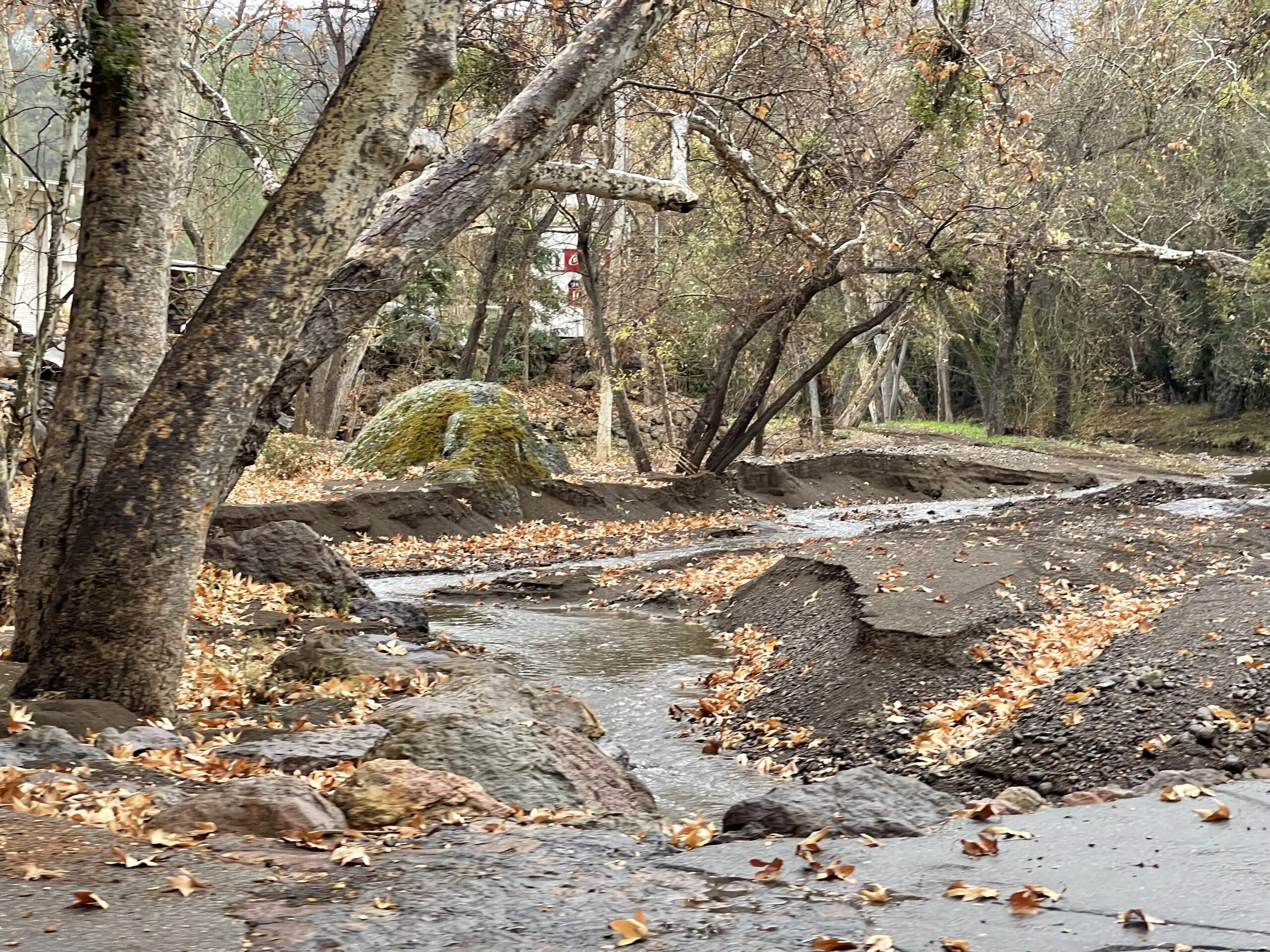 Filmland-Golden Summit-opengrounds-8.jpeg