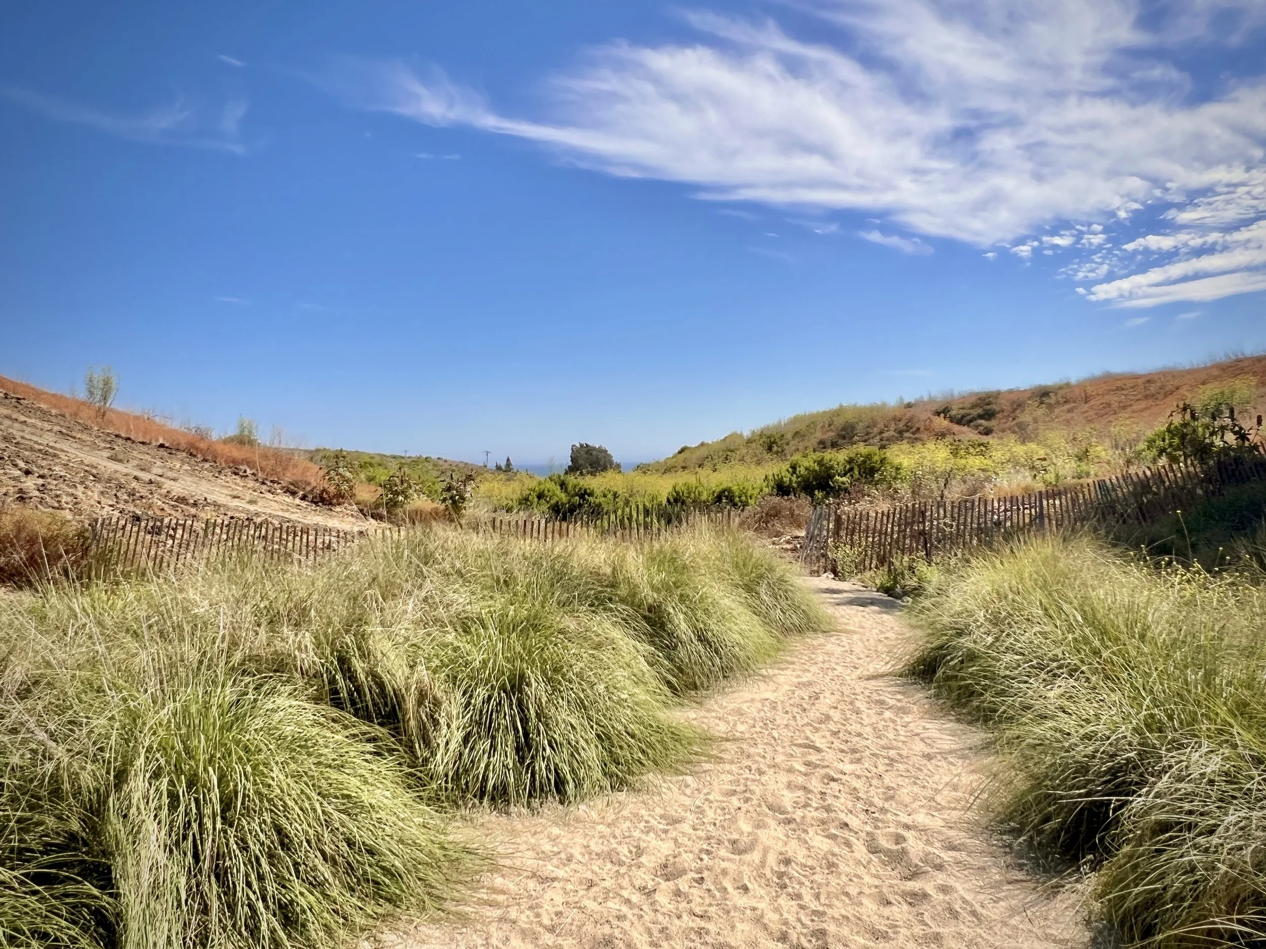 38-Filmland - PCH Garden- Open Grounds - Nature.jpeg