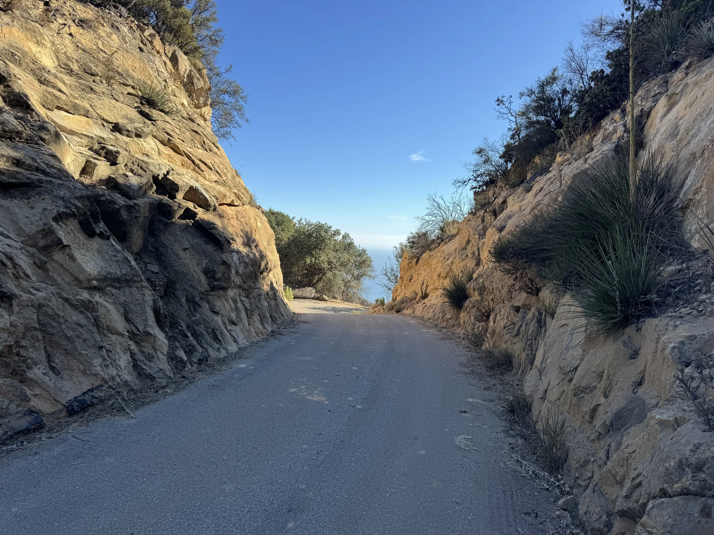 06-1-Filmland-Coastal Legacy House-Grounds-6.JPG