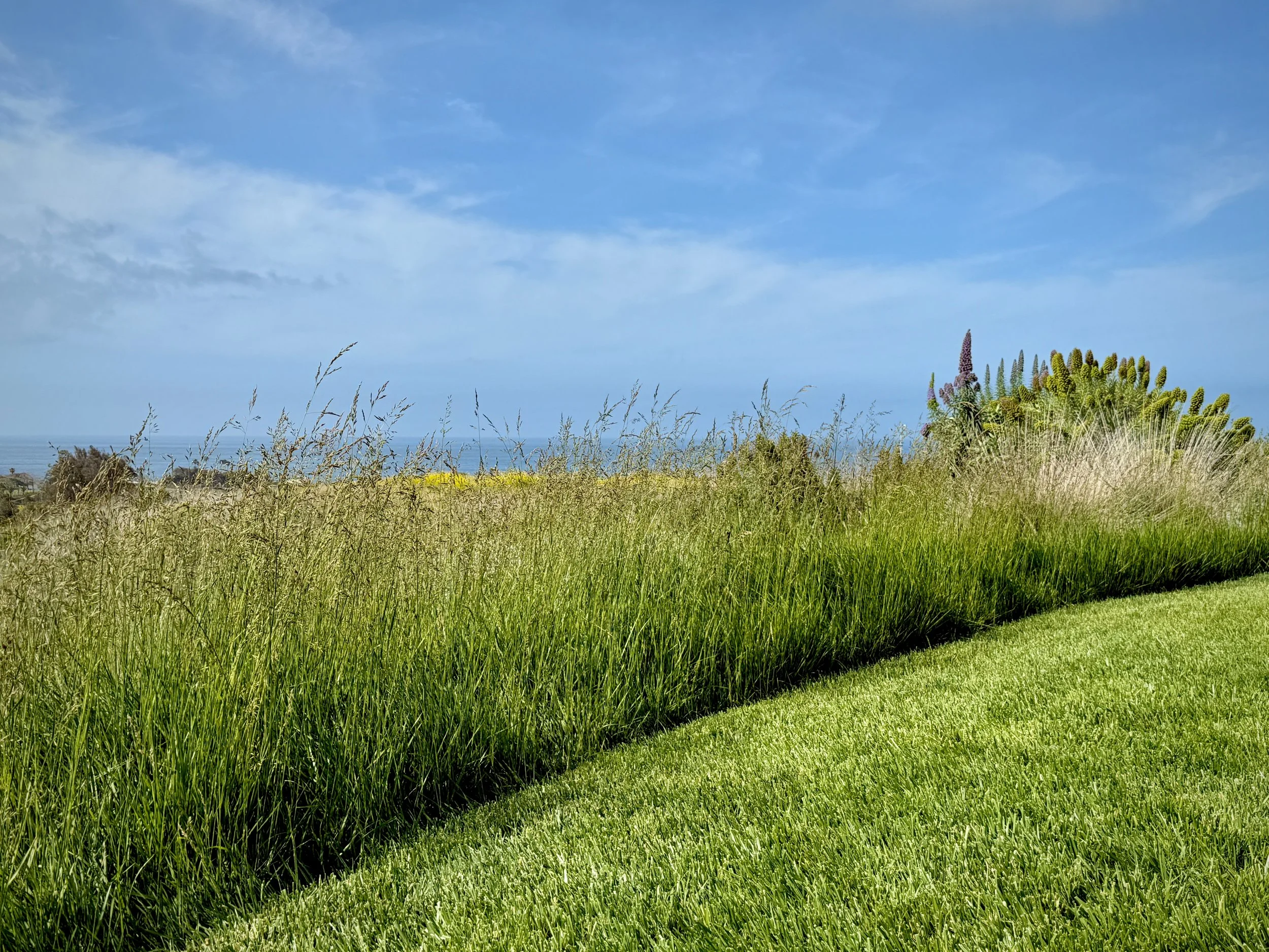 17-3l-Filmland - PCH Garden- Open Grounds - Nature.jpeg