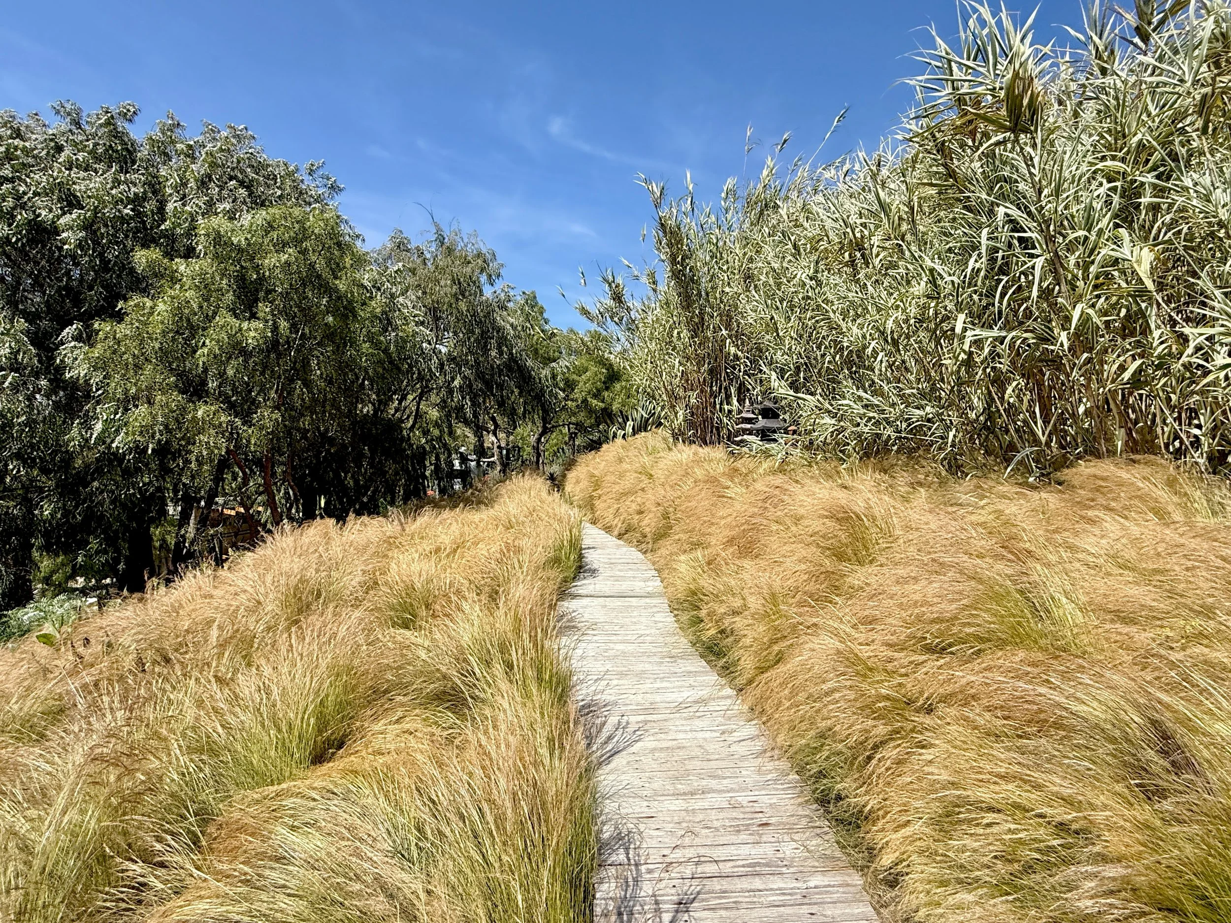 11-Filmland - PCH Garden.jpeg