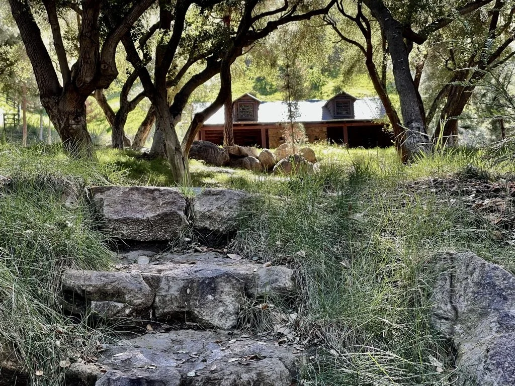 Filmland-Golden Summit-Cabin-8.jpeg