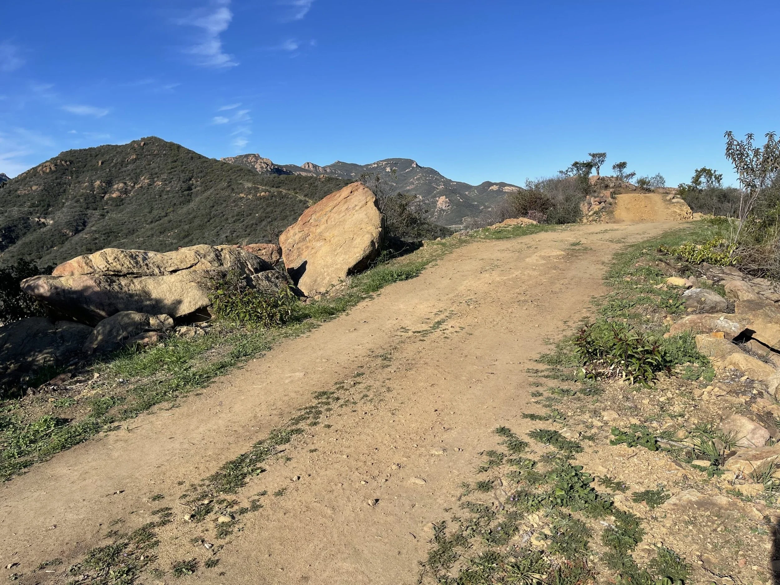 Filmland-Golden Summit-opengrounds-4a.jpeg