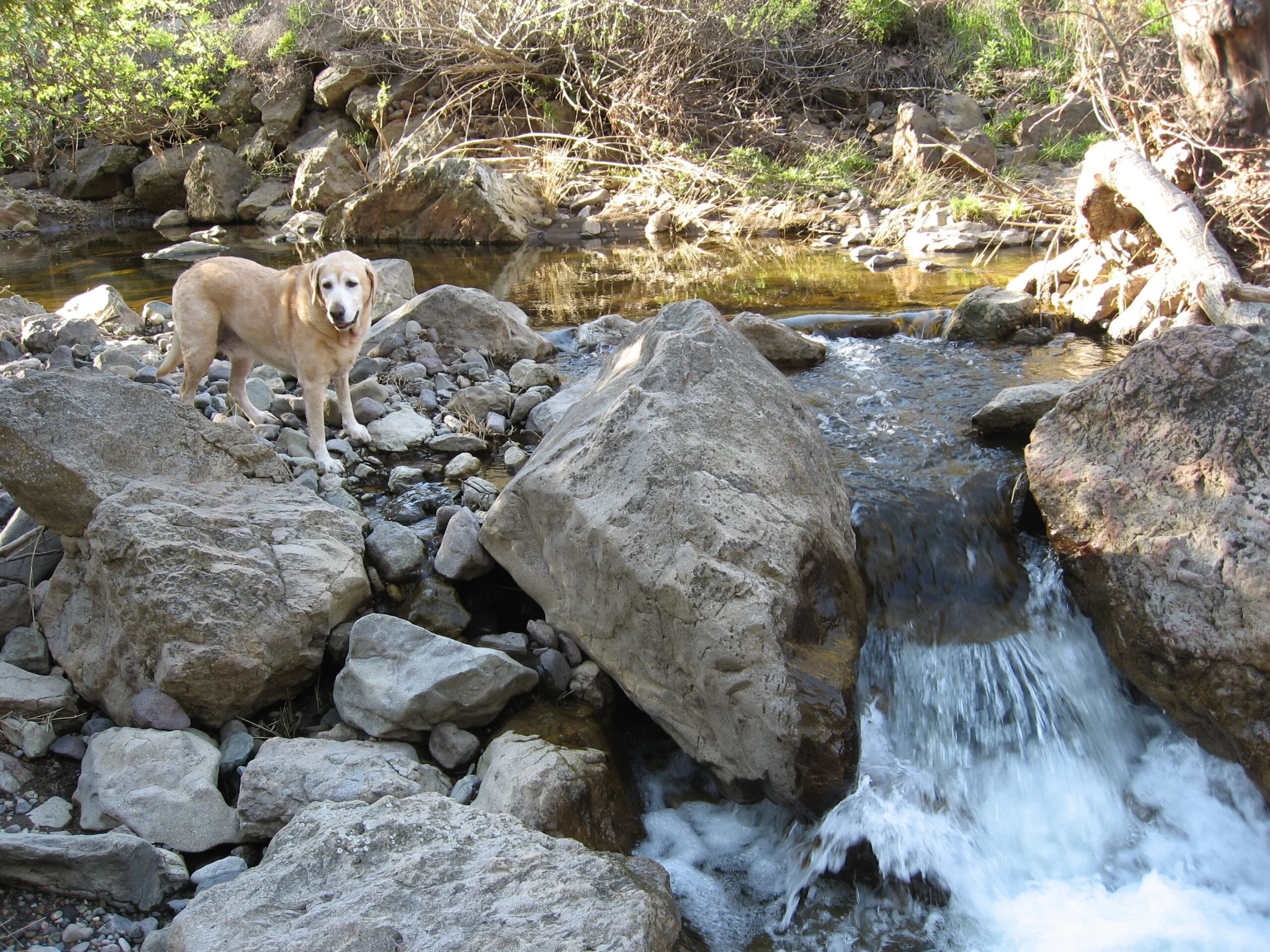 Filmland-Golden Summit-opengrounds-8b.jpg