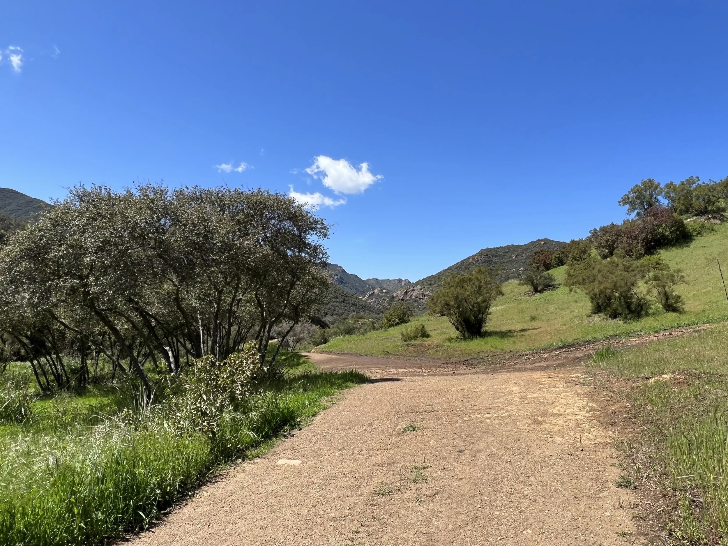 Filmland-Golden Summit-opengrounds-5.jpeg