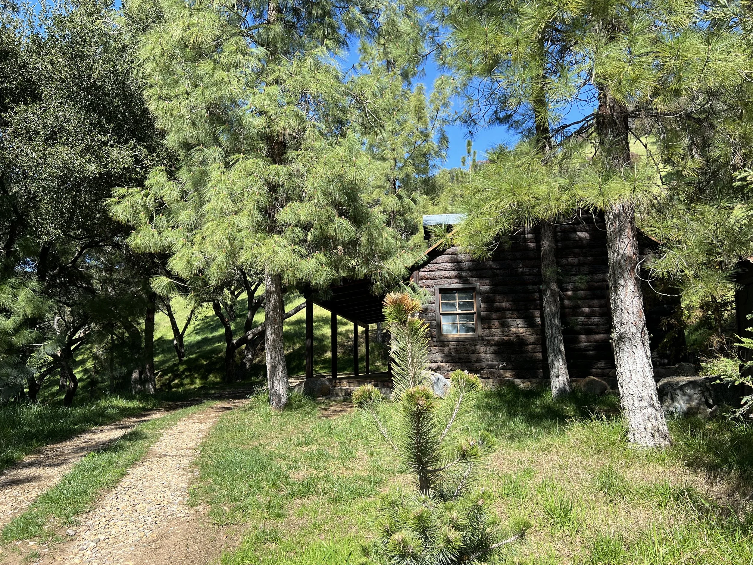 Filmland-Golden Summit-Cabin-5a.jpeg