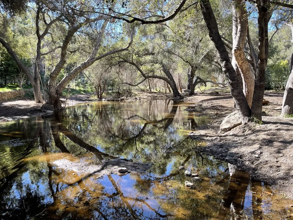 Filmland-Golden Summit-opengrounds-7ccc.jpeg