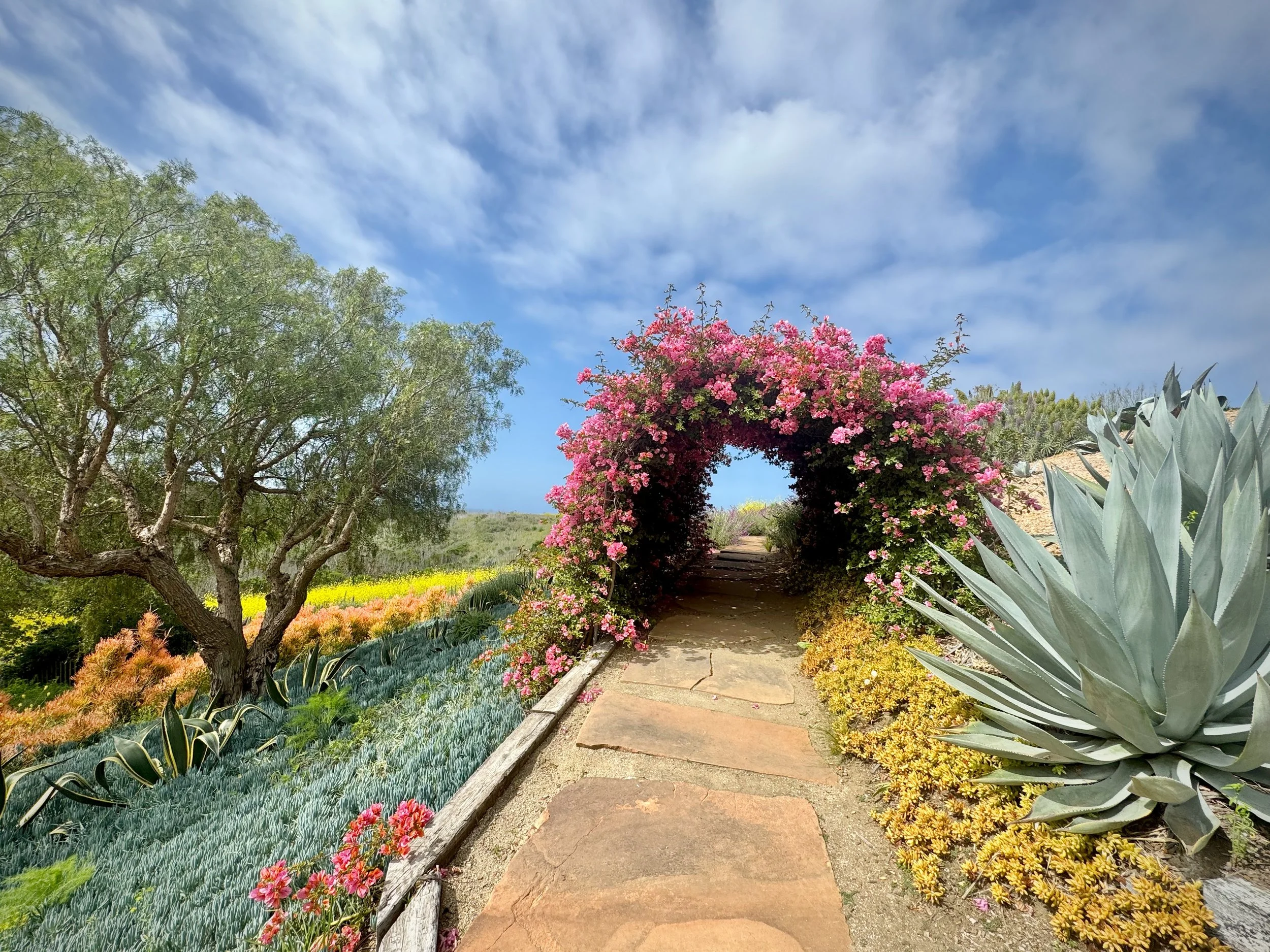 07-2a-Filmland - PCH Garden.jpeg