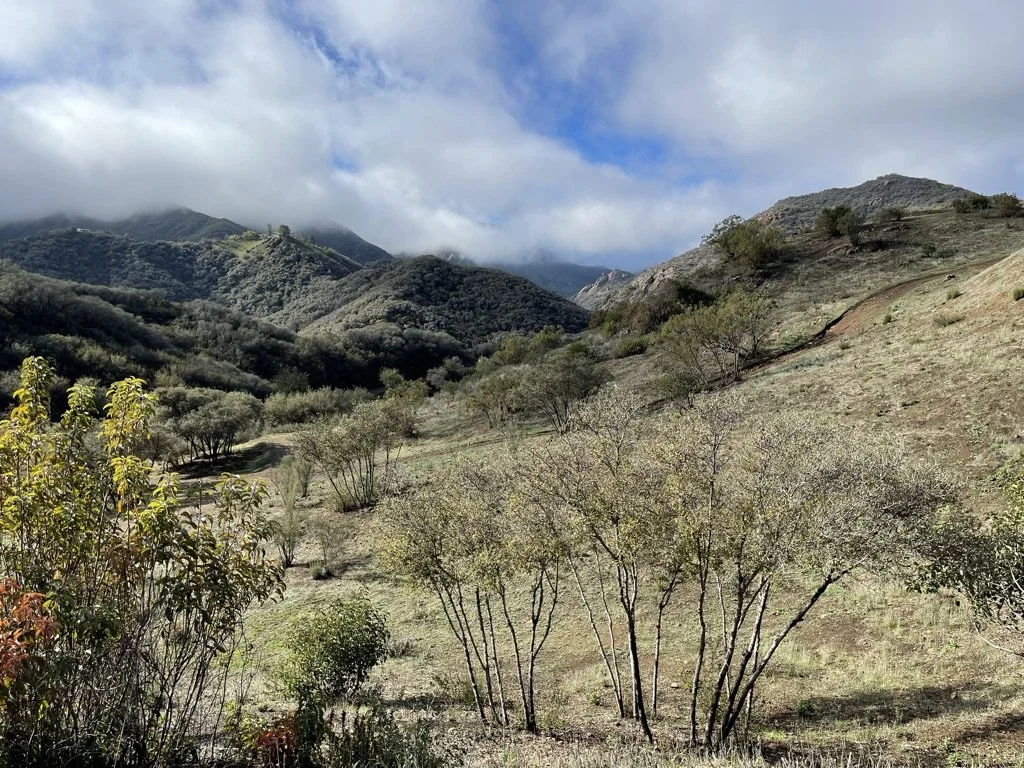 Filmland-Golden Summit-opengrounds-1cc.jpeg