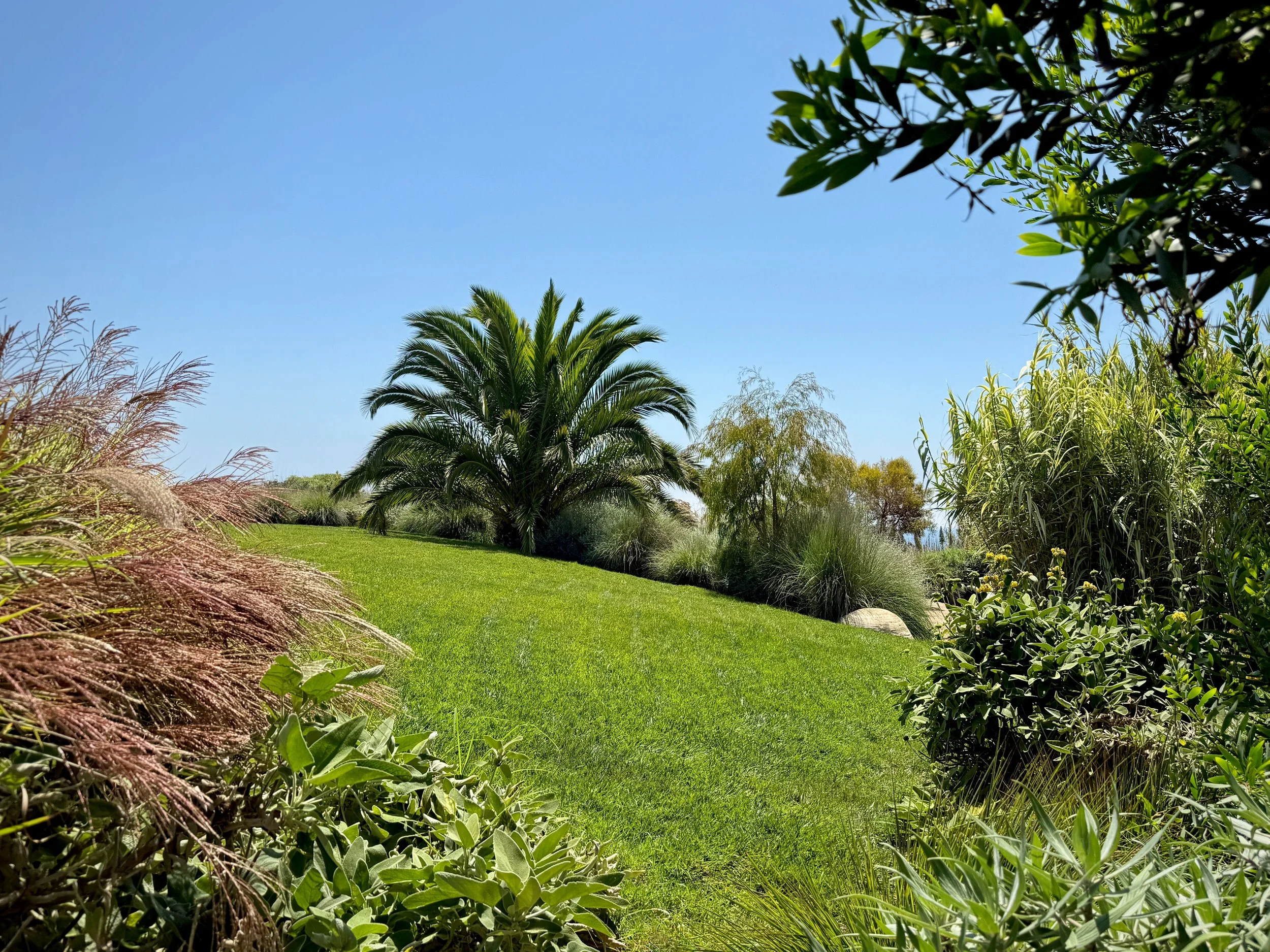 26-Filmland - PCH Garden- Open Grounds - Nature.jpeg