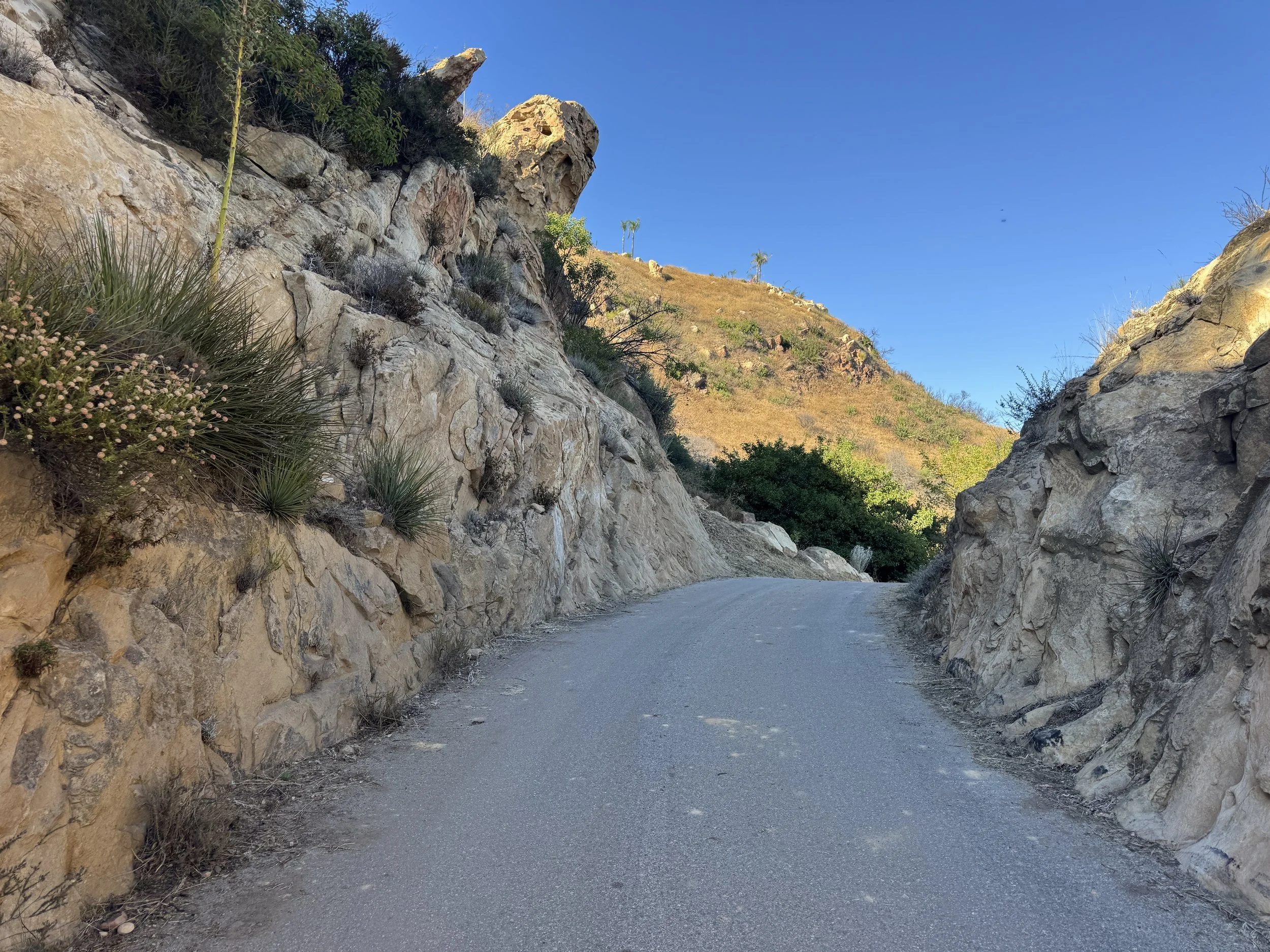 07-Filmland-Coastal Legacy House-Grounds-7.JPG