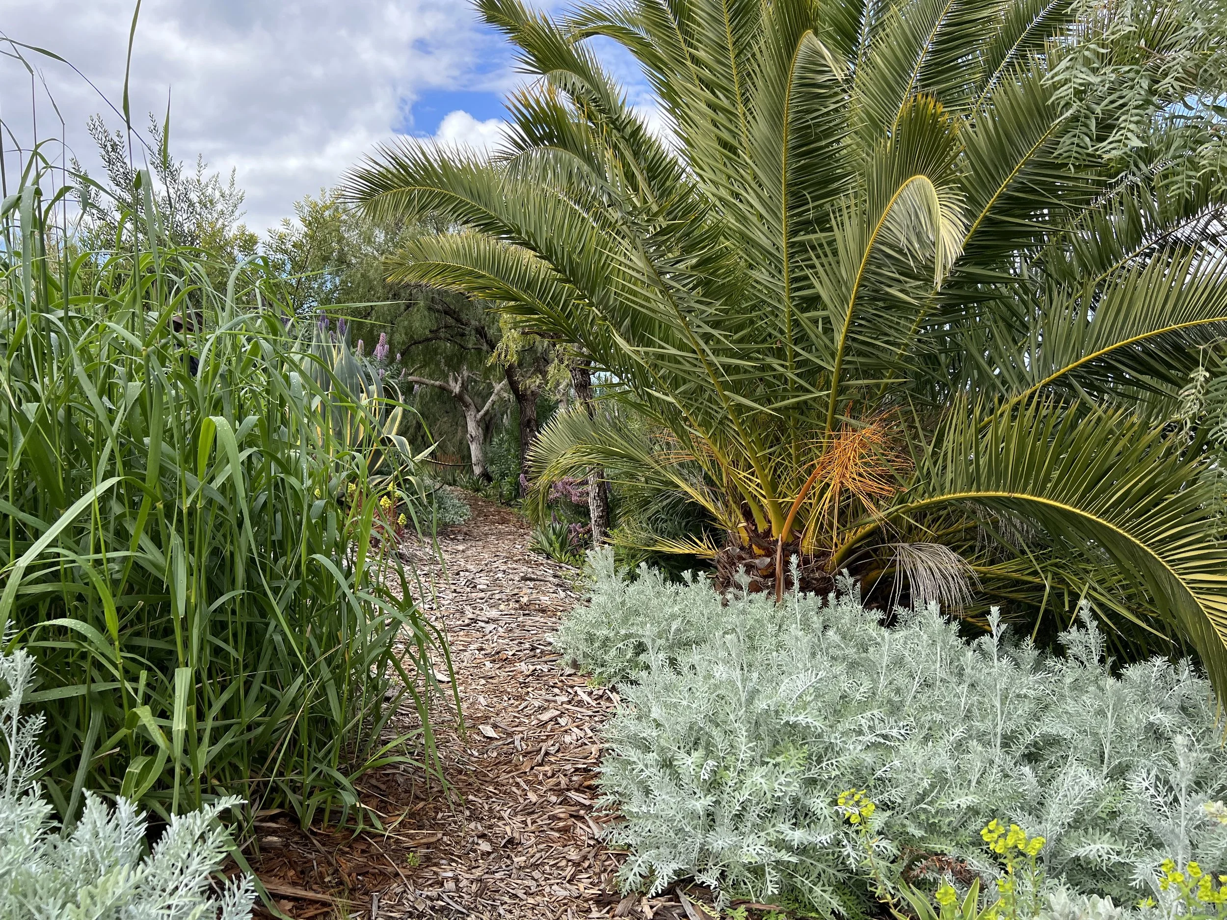 21-6b-Filmland - PCH Garden- Open Grounds - Nature.jpeg