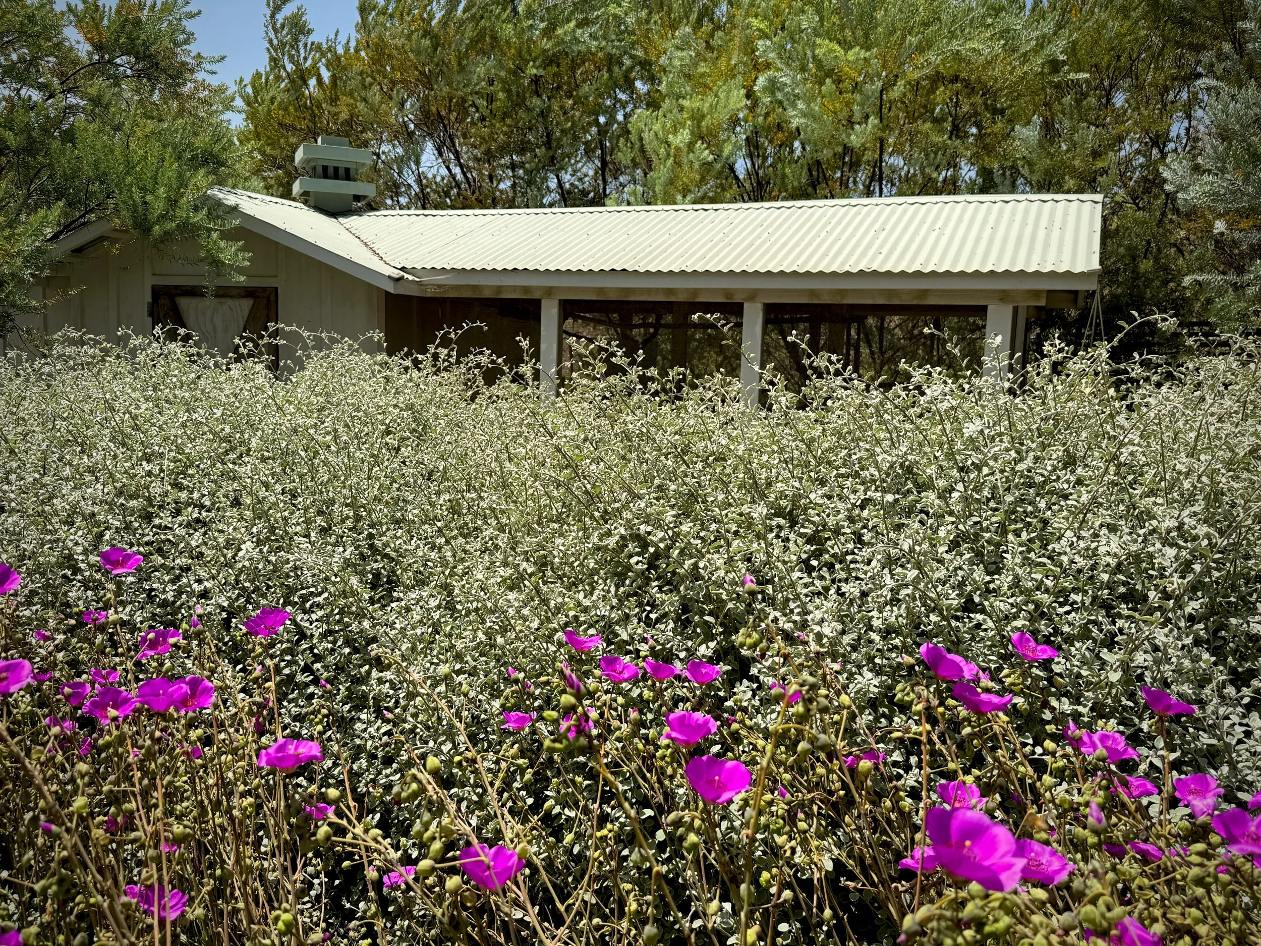 34-26b-Filmland - PCH Garden- House.jpeg