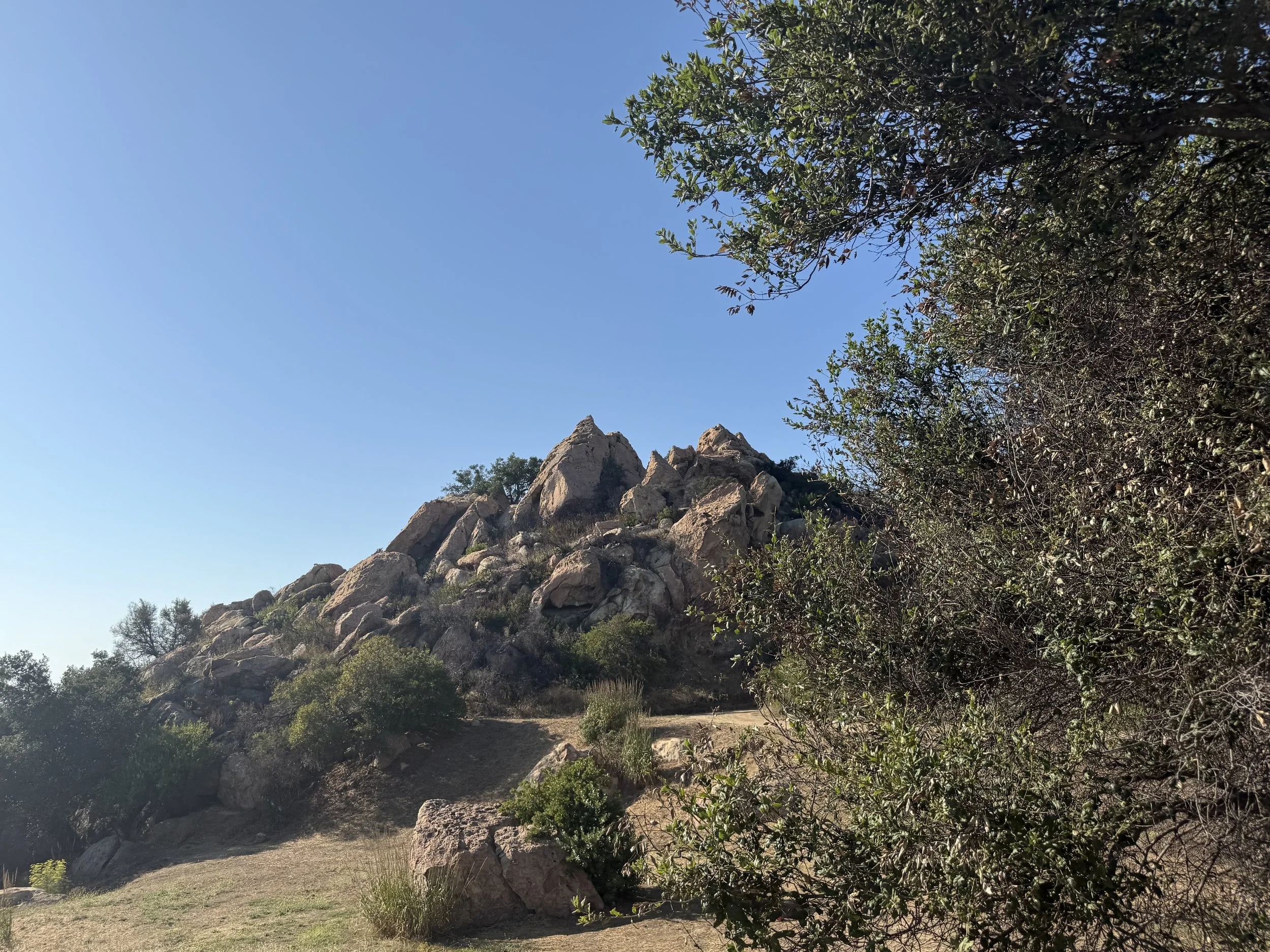 14-Filmland-Coastal Legacy House-Grounds-14.jpeg