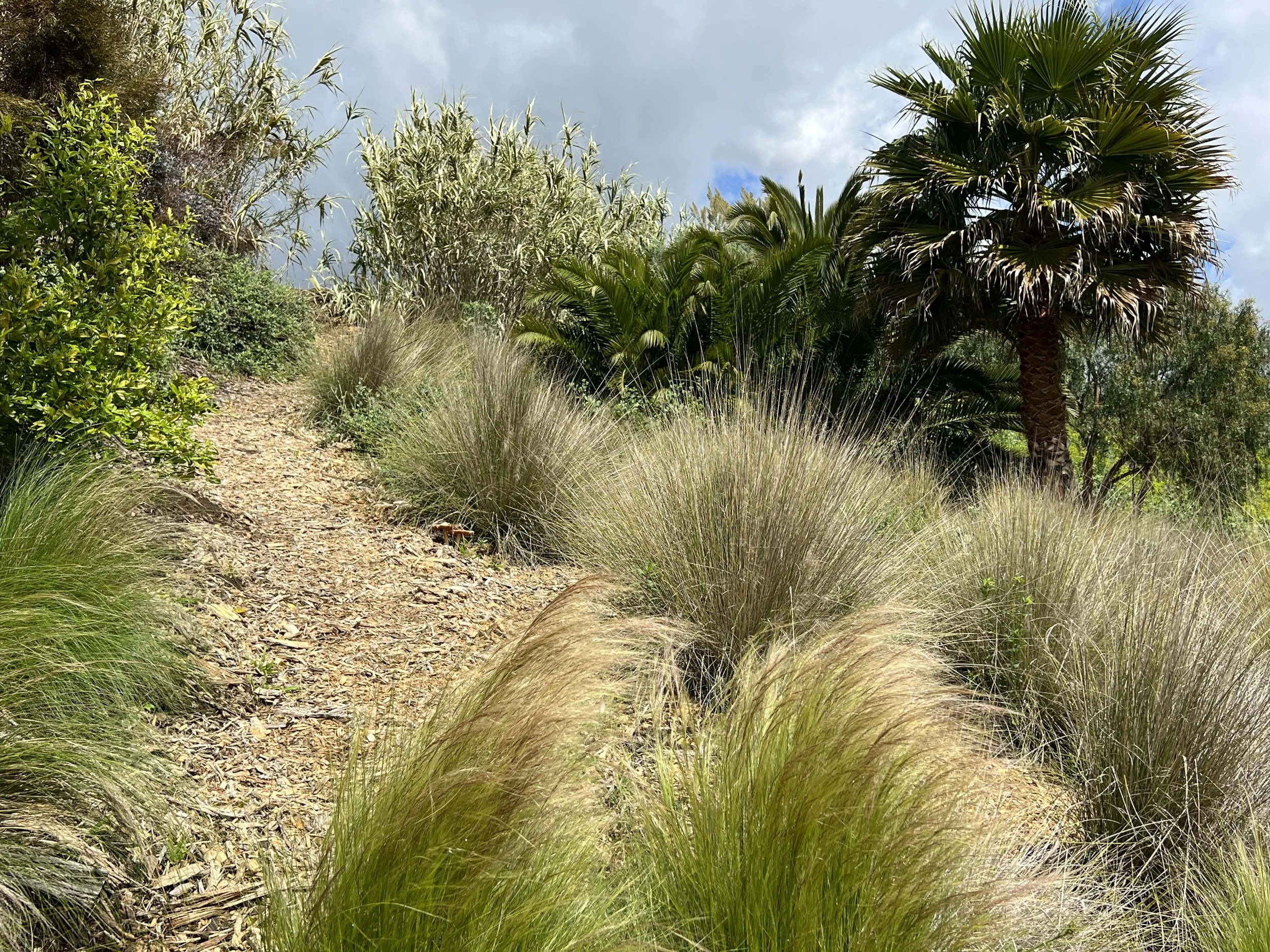 10-3e-Filmland - PCH Garden- Open Grounds - Nature.jpeg