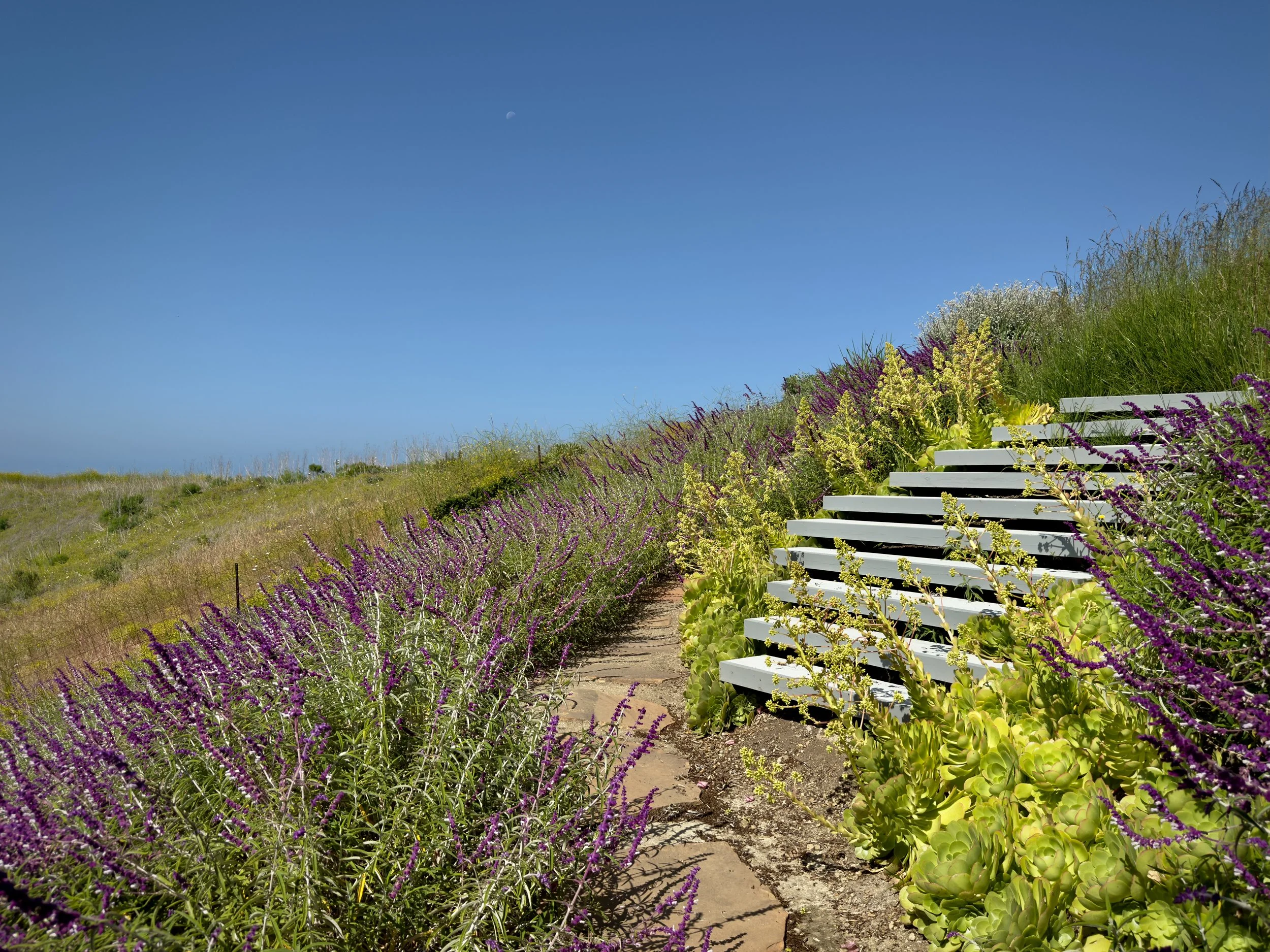 42-Filmland - PCH Garden- Open Grounds - Nature.jpeg