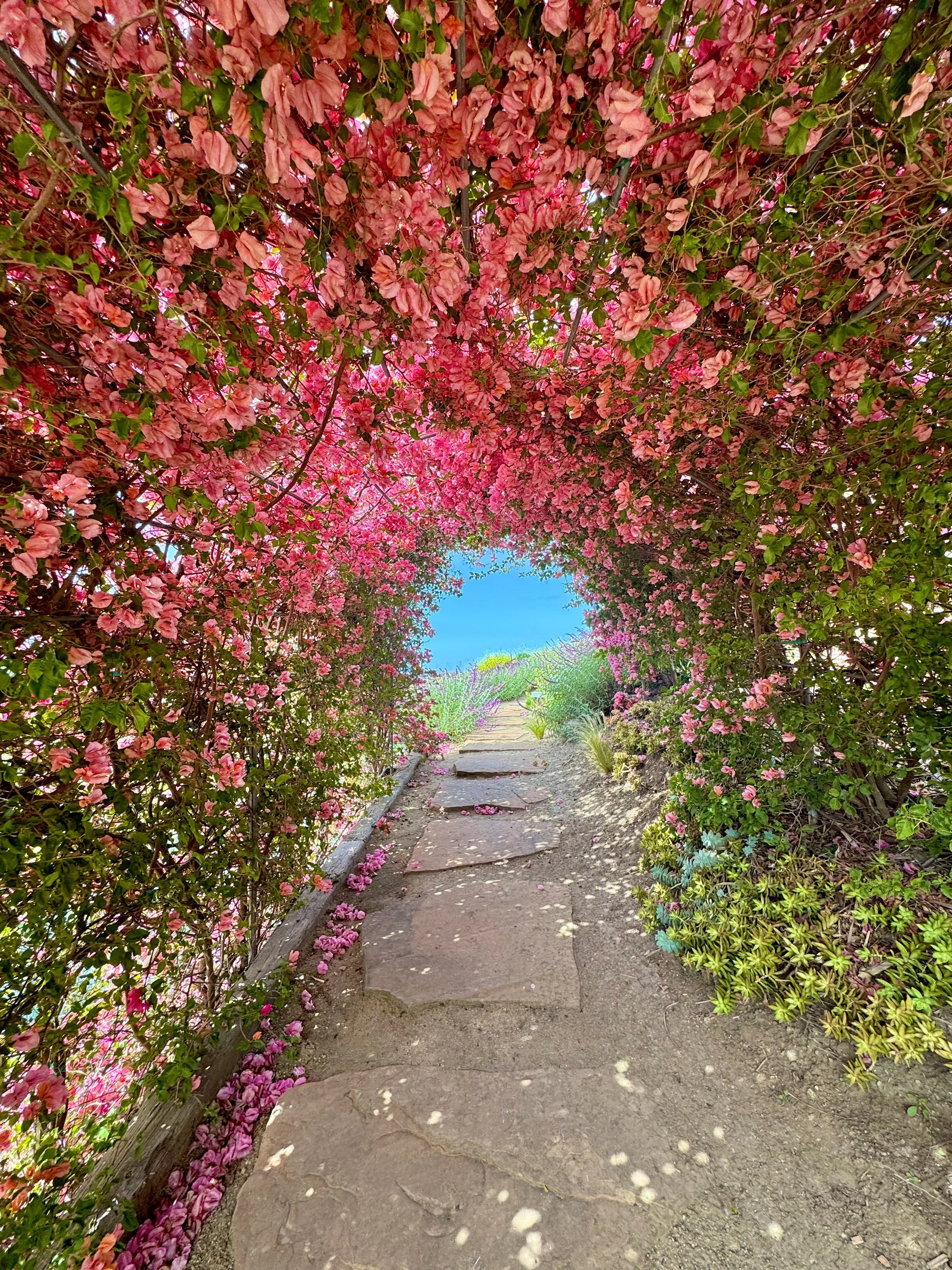08-2b-Filmland - PCH Garden.jpeg