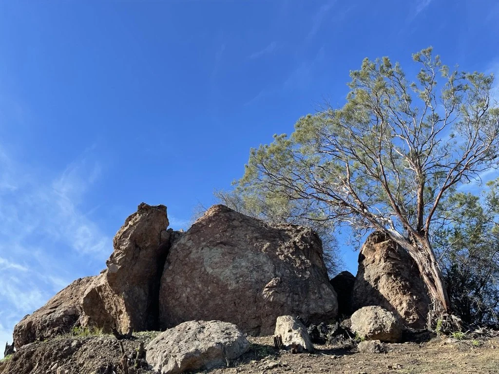 Filmland-Golden Summit-opengrounds-1ee.jpeg