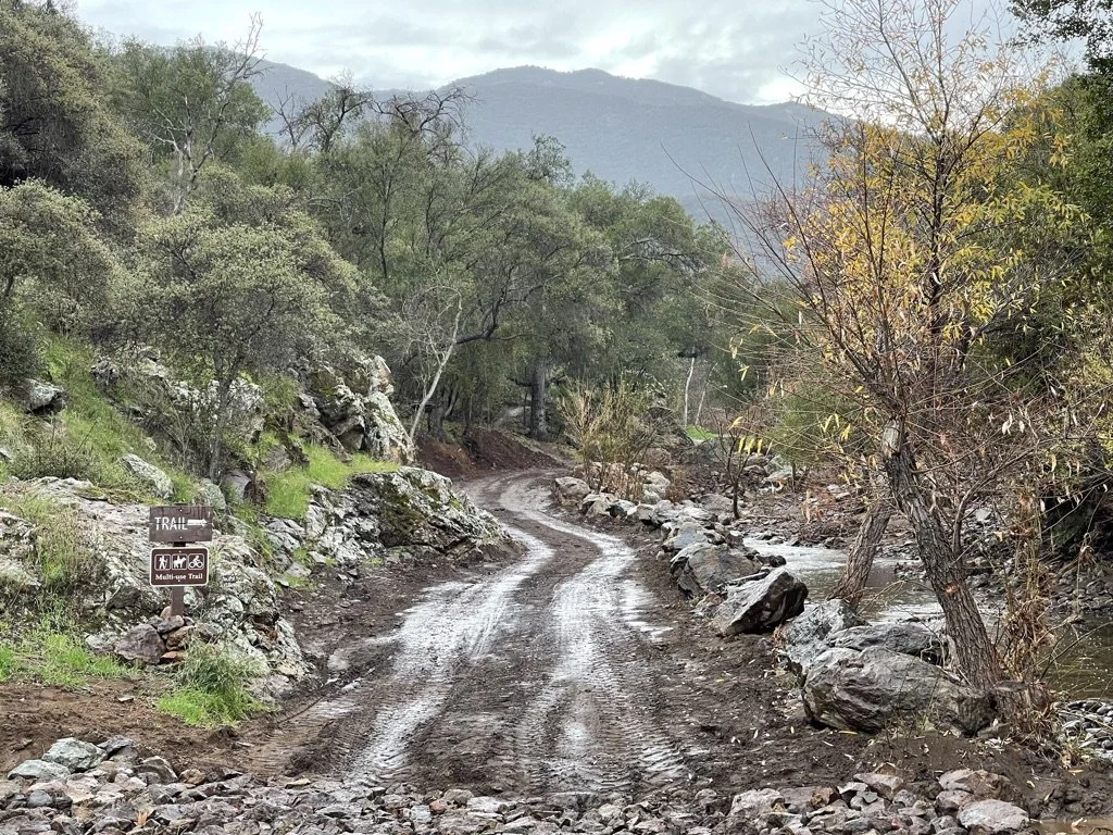 Filmland-Golden Summit-opengrounds-1gg.jpeg