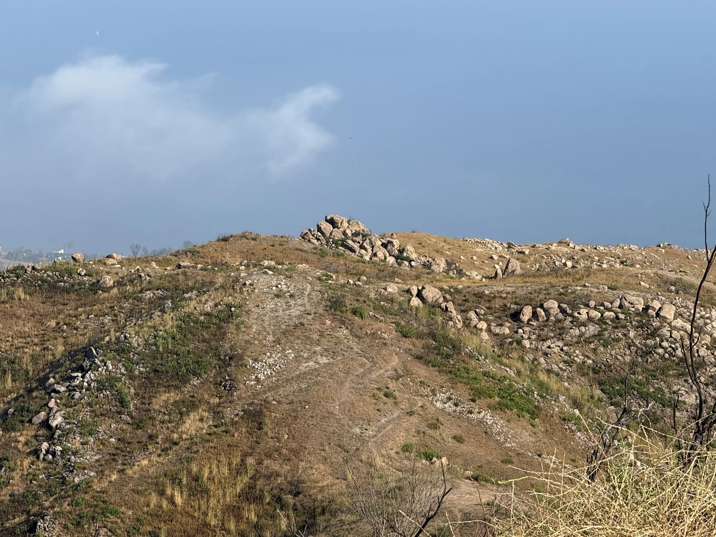 08-Filmland-Coastal Legacy House-Grounds-8.jpeg