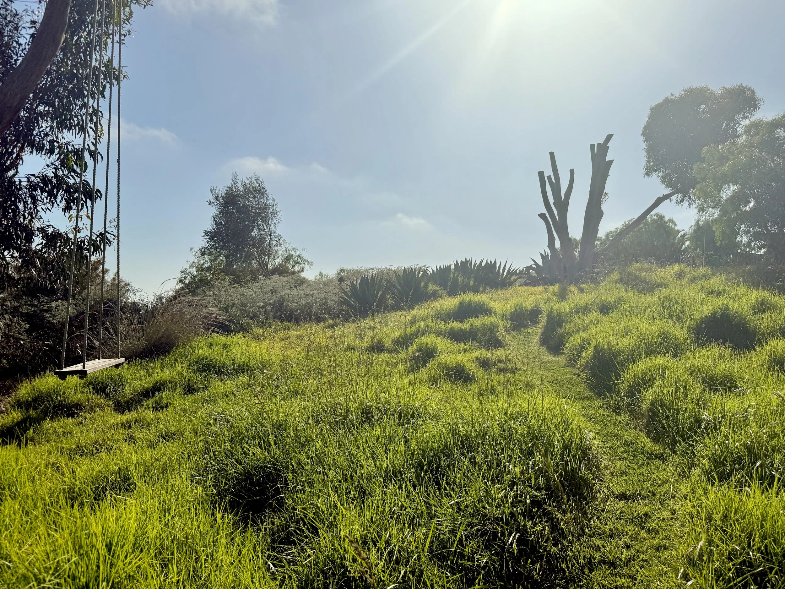 16-3k-Filmland - PCH Garden- Open Grounds - Nature.jpeg