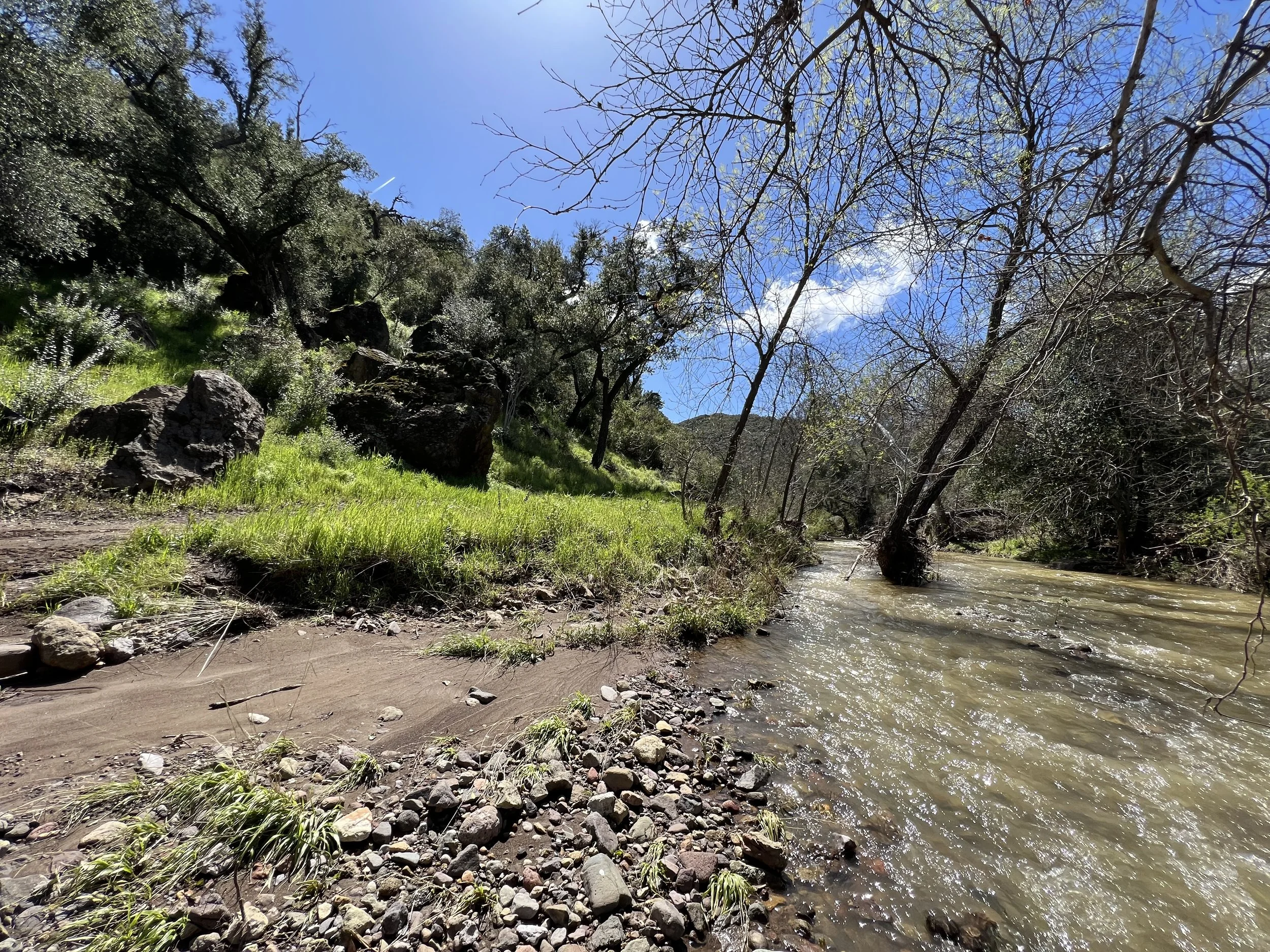 Filmland-Golden Summit-opengrounds-7b.jpeg