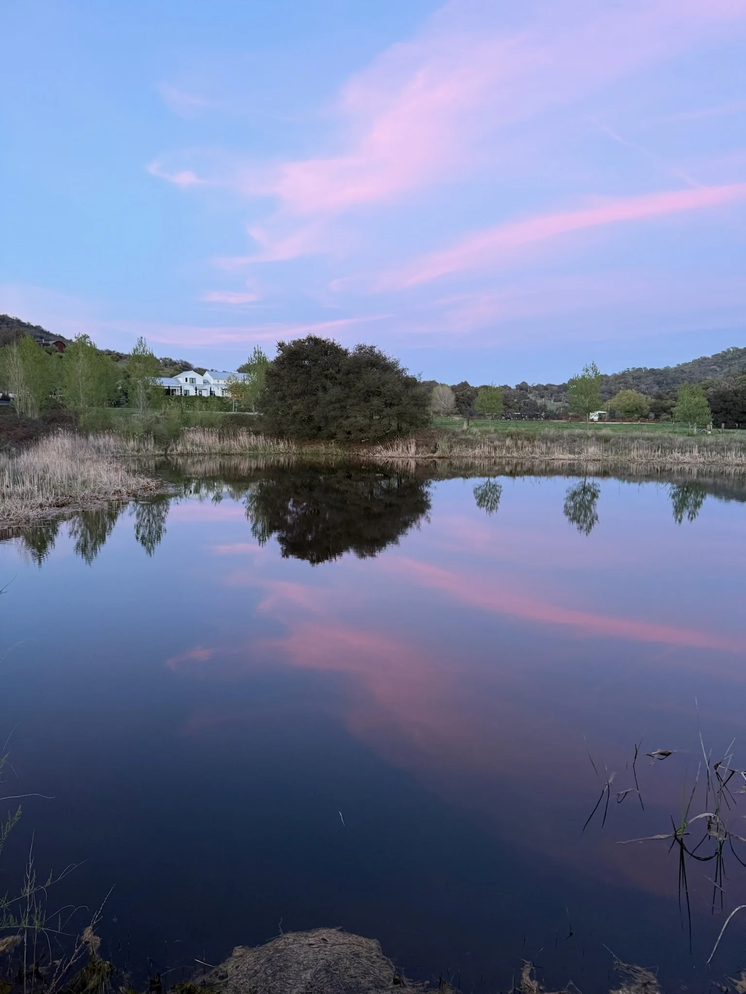 Filmland-RCRanch-pond-3.JPG
