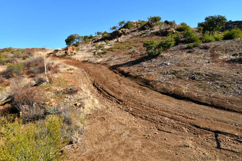 Filmland-Golden Summit-opengrounds-3f.jpeg