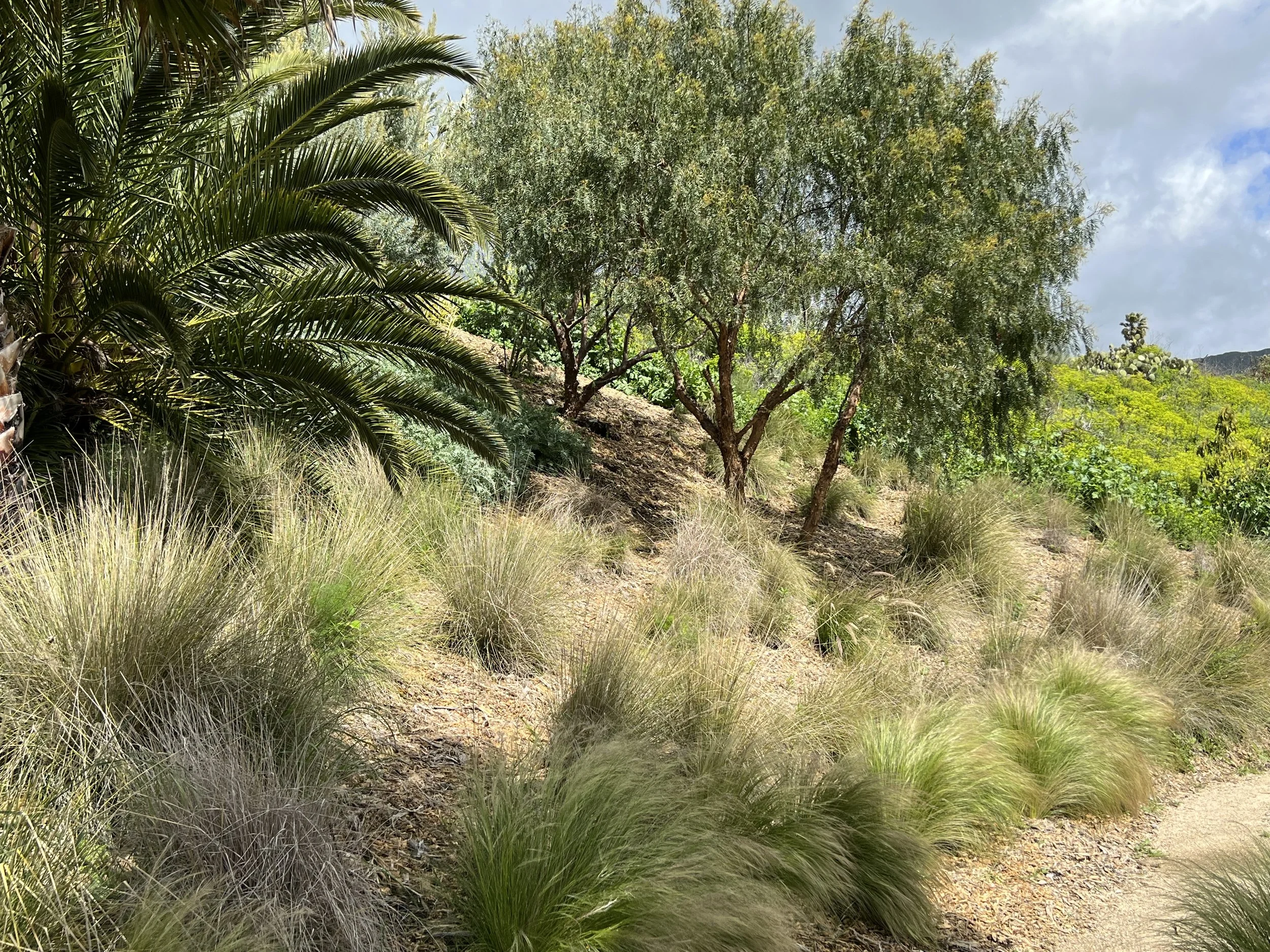 30-Filmland - PCH Garden- Open Grounds - Nature.jpeg