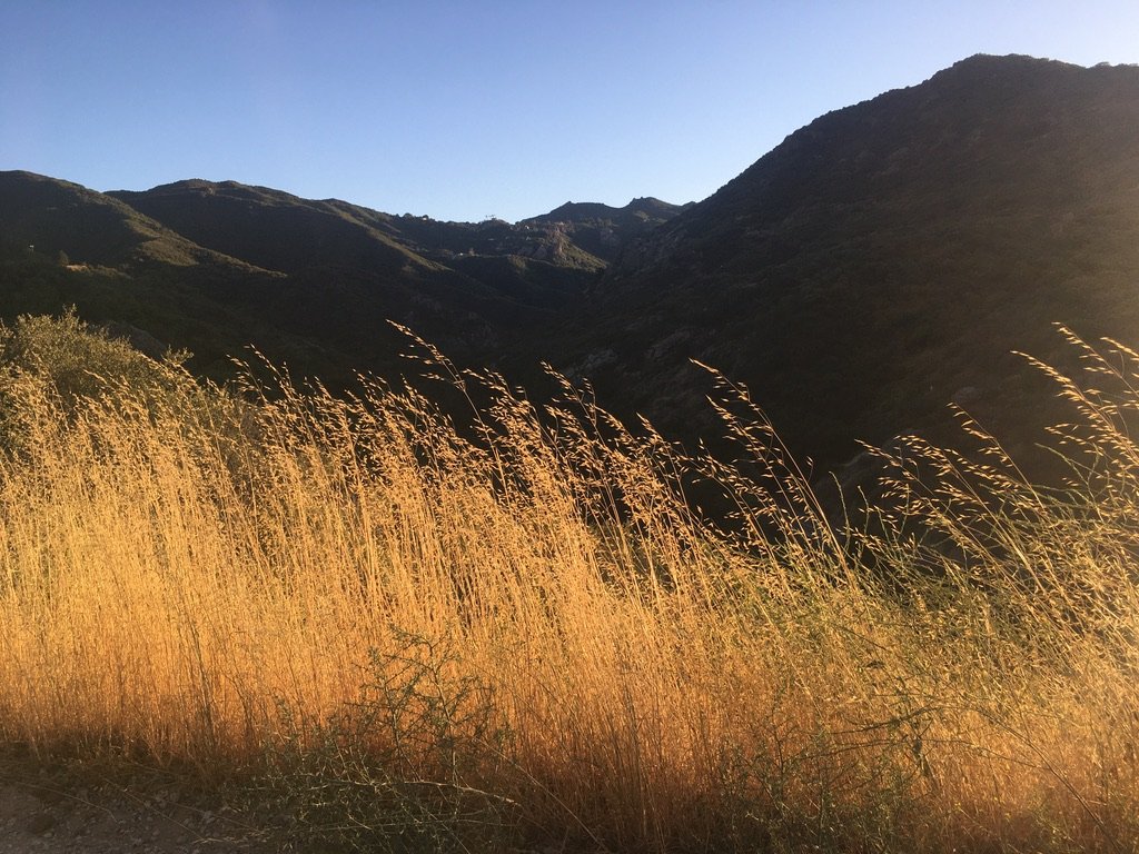 Filmland-Golden Summit-opengrounds-3b.jpeg