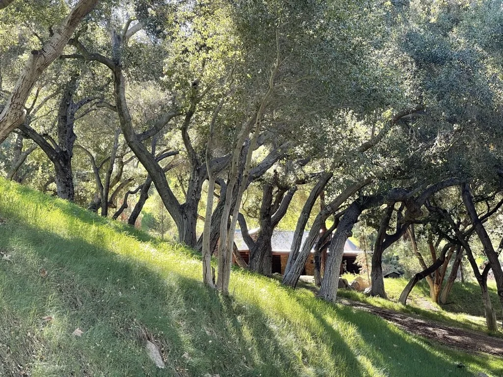 Filmland-Golden Summit-Cabin-7.jpeg