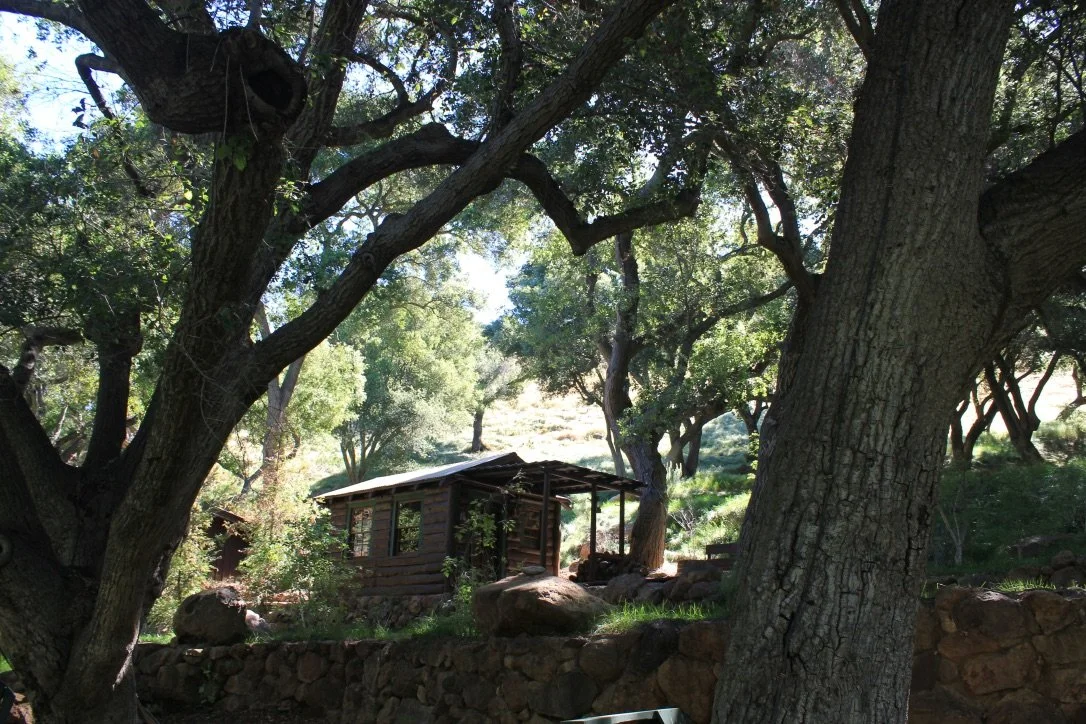 Filmland-Golden Summit-Cabin-12.jpeg