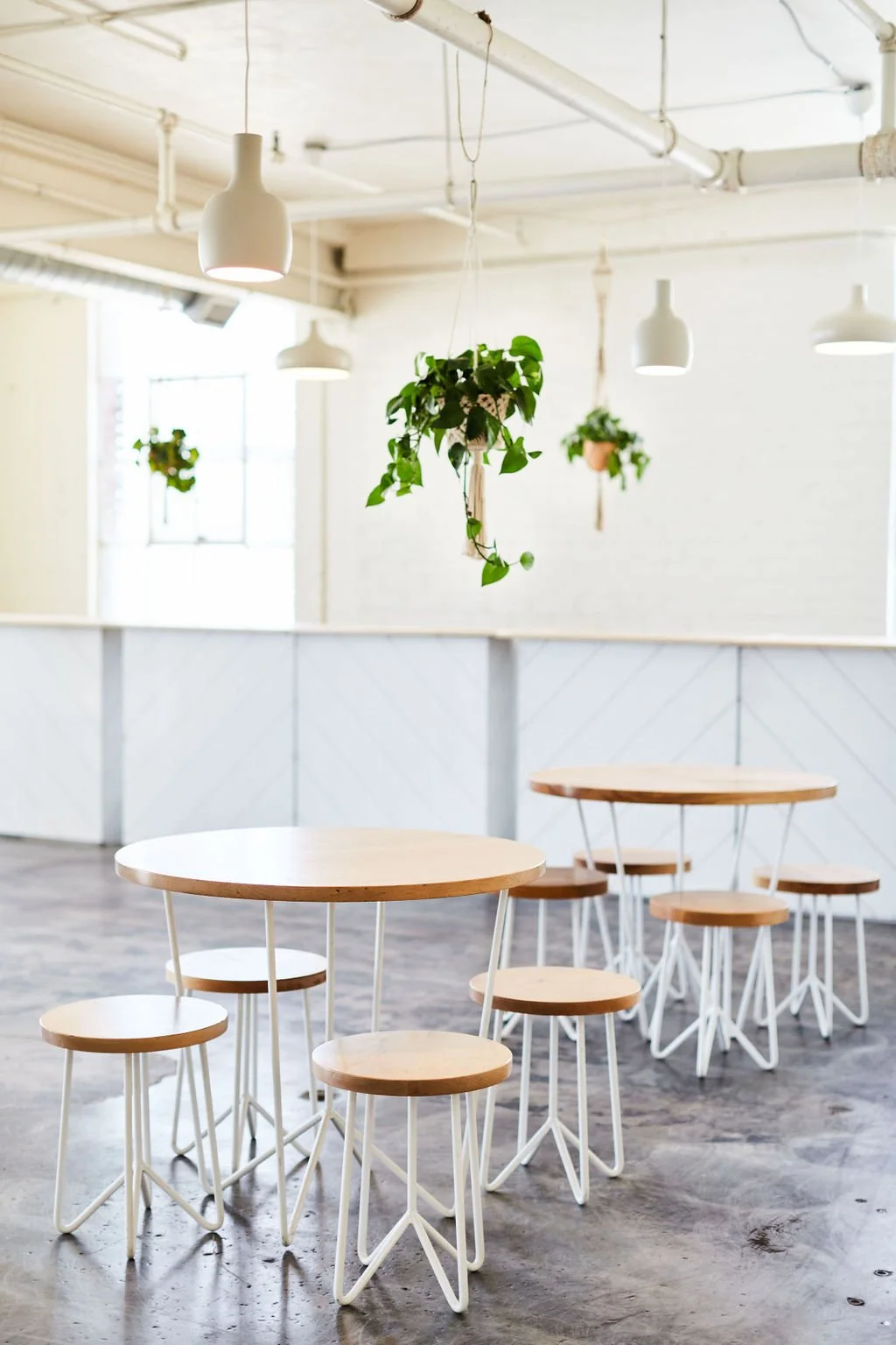 12-Filmland-Frankson-18 copy.jpg