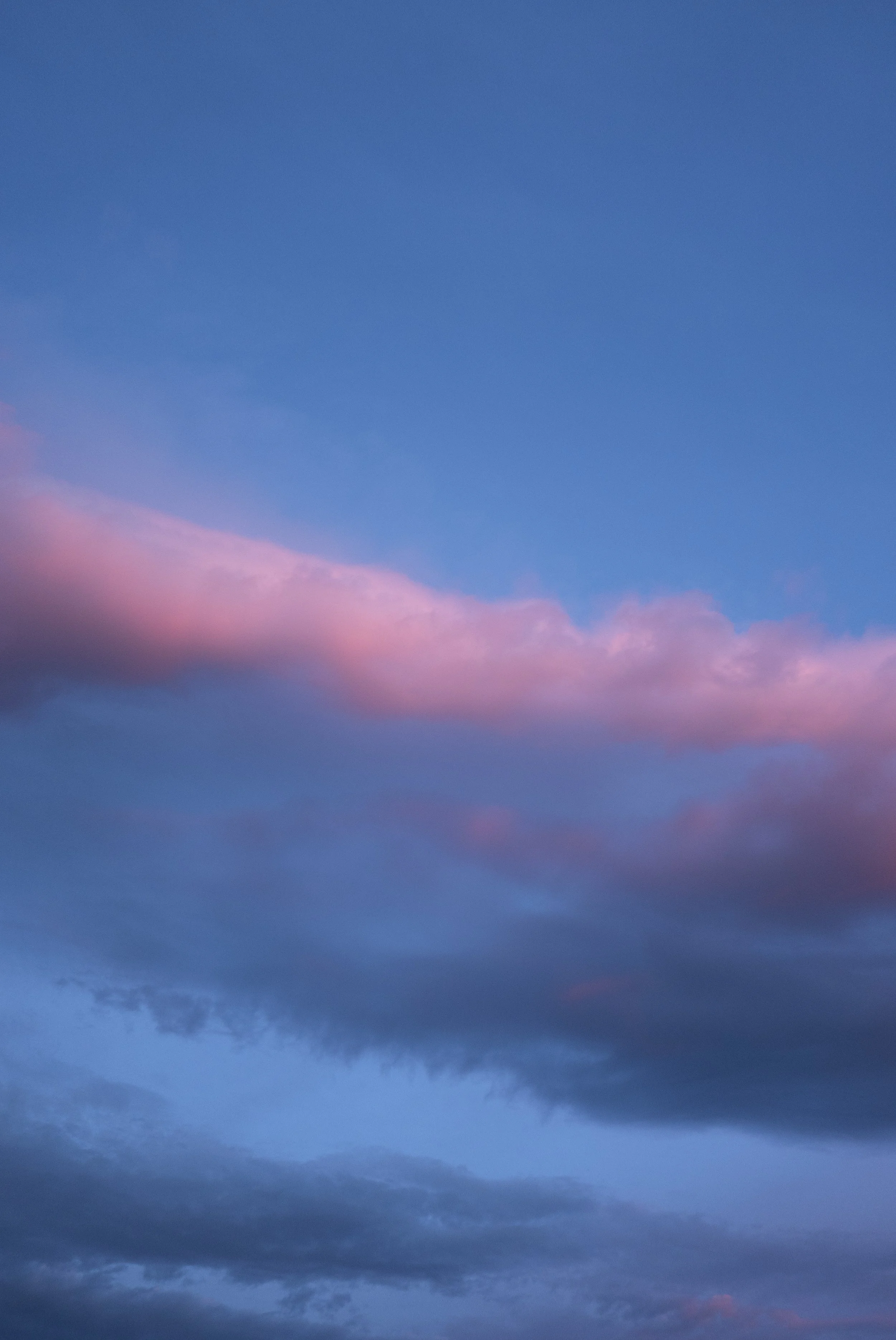 Mourning Son, Morning Daughter