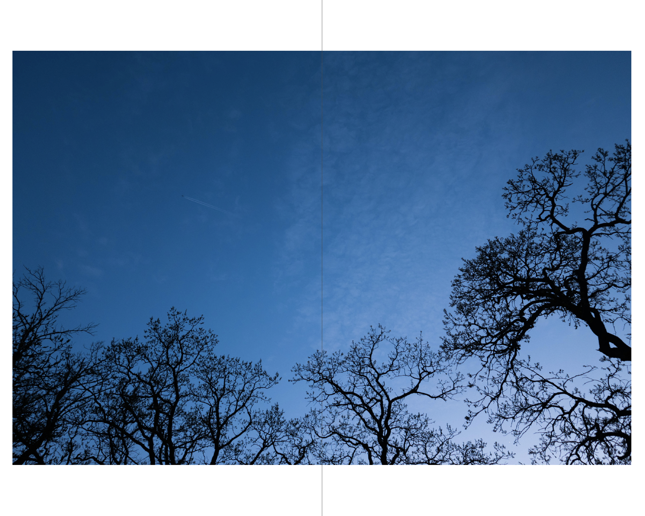 Screenshot 2024-02-13 at 3.39.04 PM.png