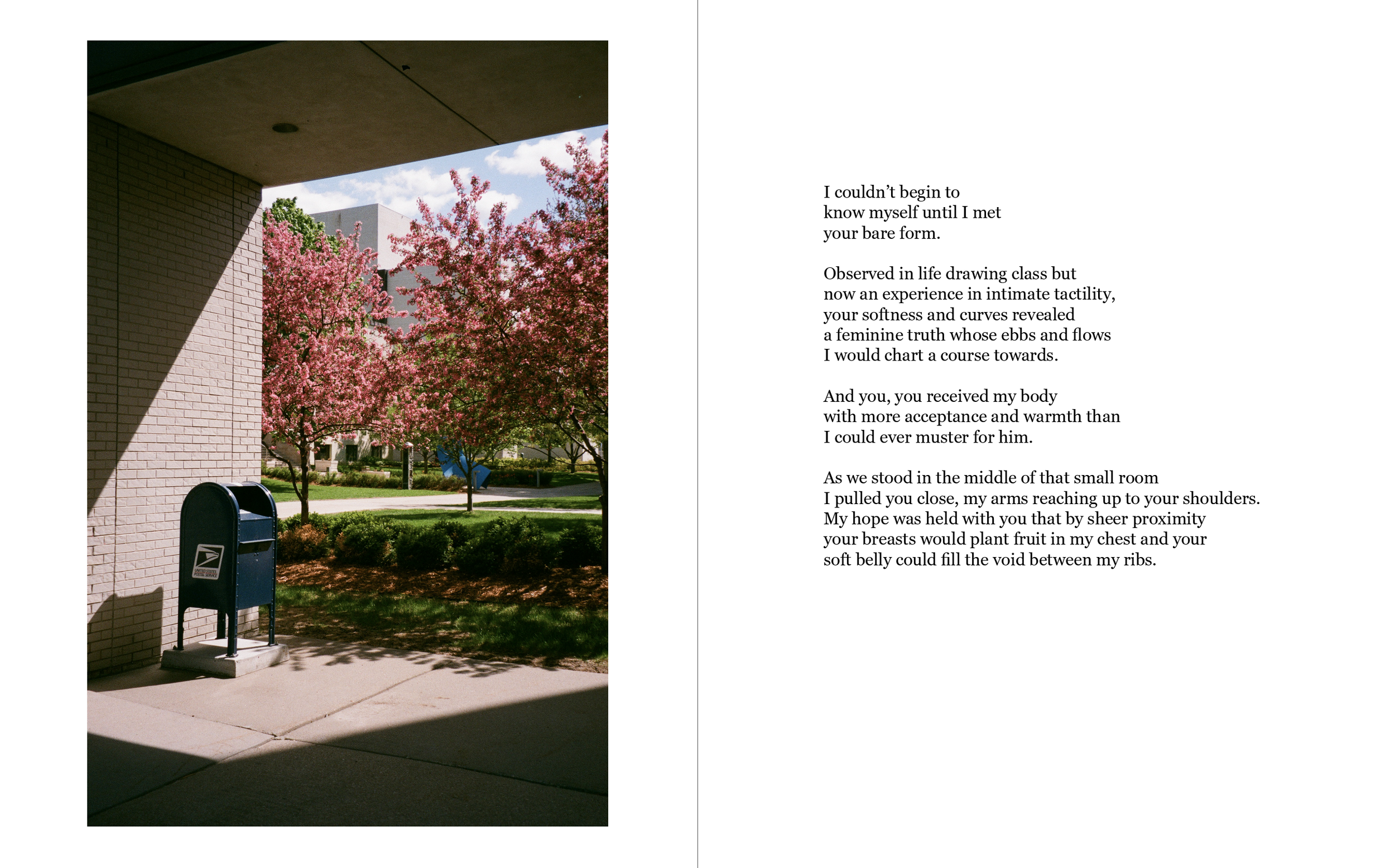 Screenshot 2024-02-12 at 7.58.09 PM.png