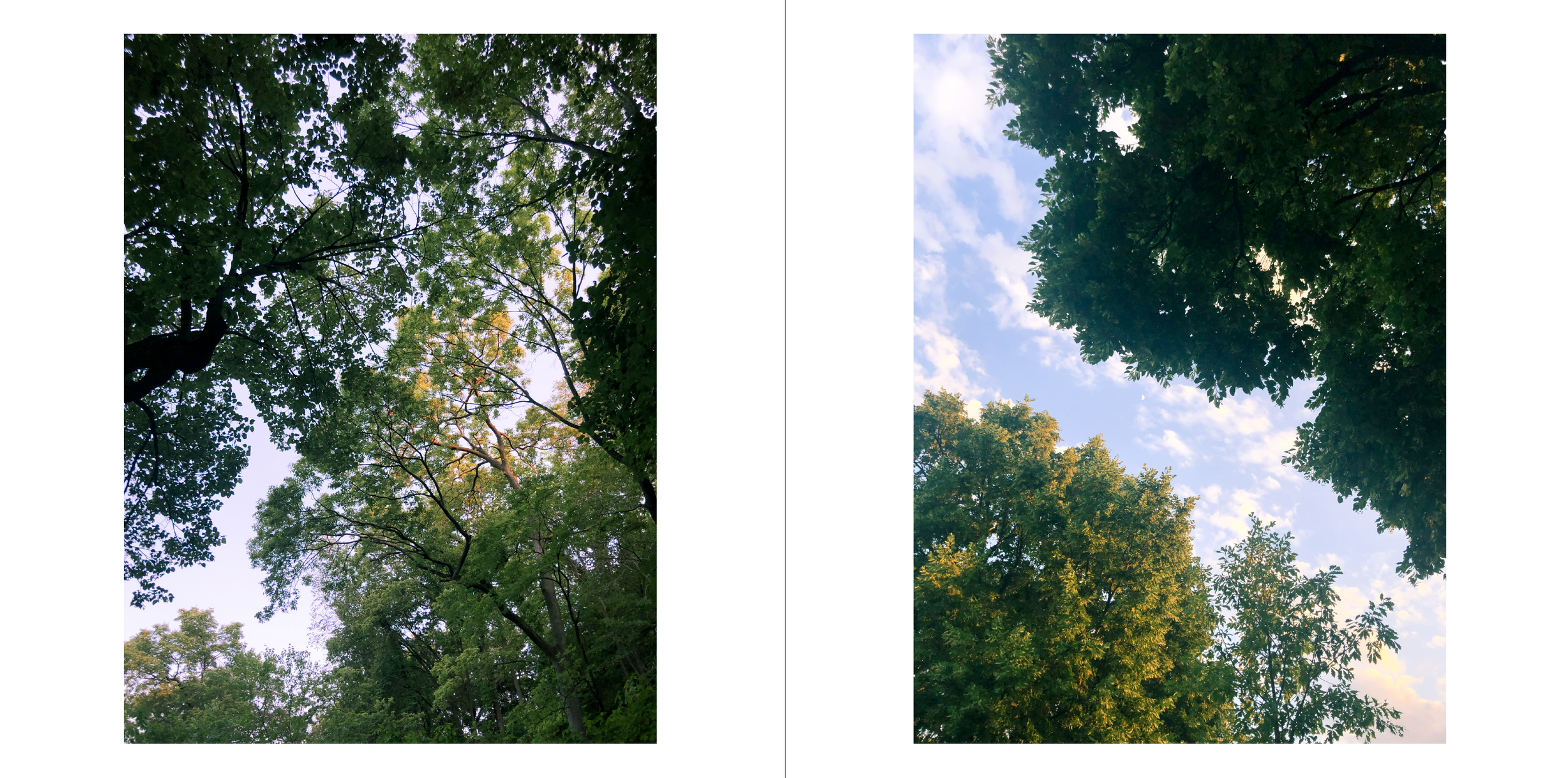 Screenshot 2024-02-13 at 3.33.04 PM.png