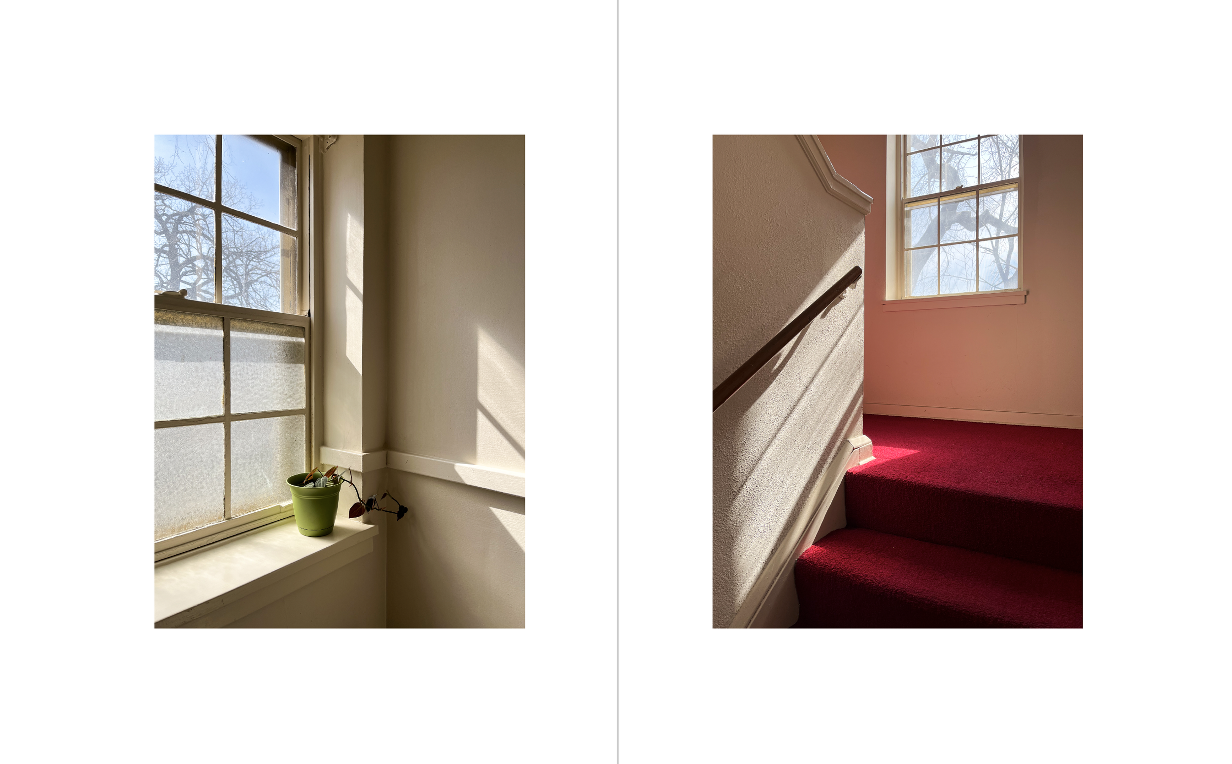 Screenshot 2024-02-13 at 3.18.29 PM.png