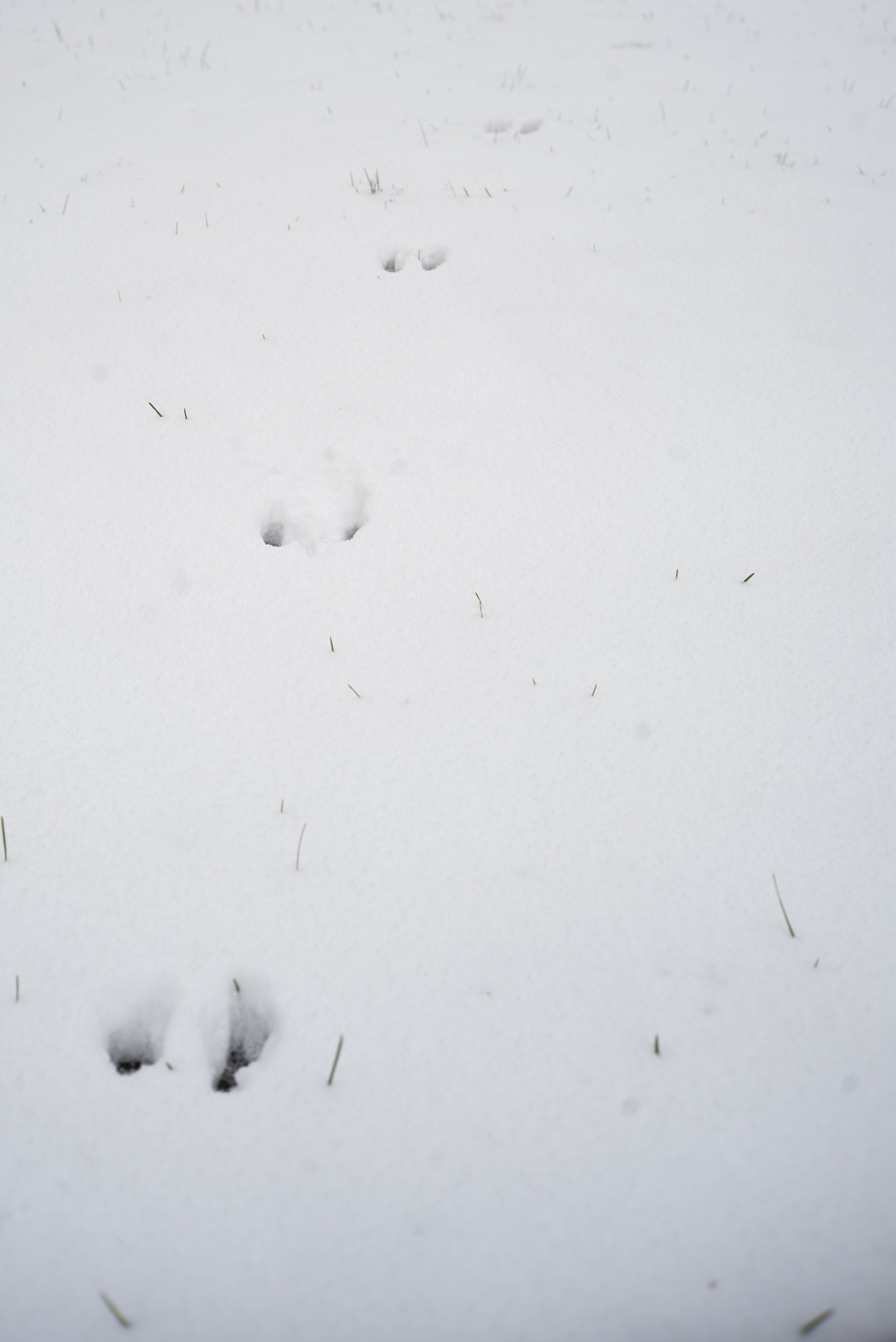 Morrow_B_Call and Response -51.jpg