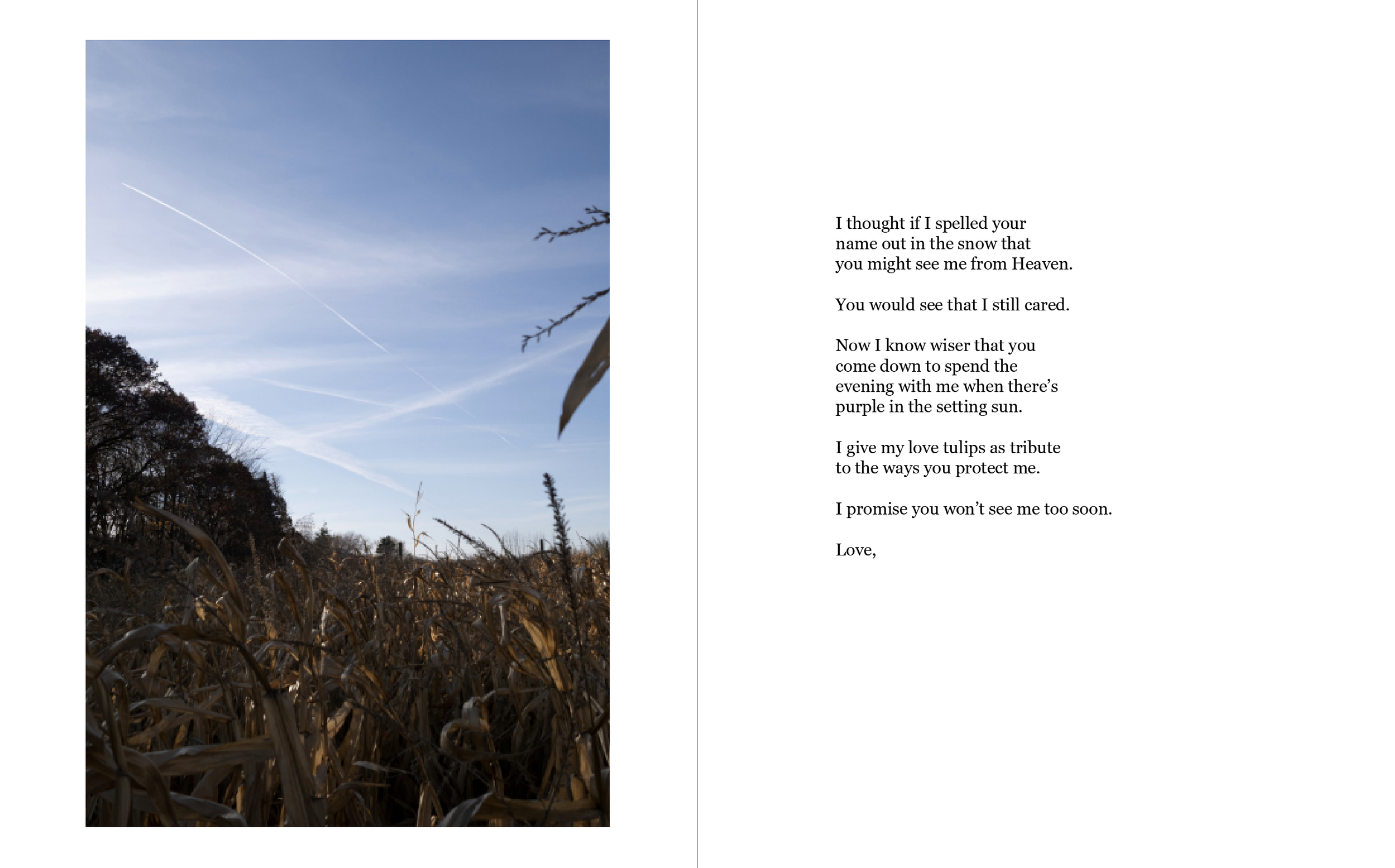 Screenshot 2024-02-12 at 7.57.45 PM.png