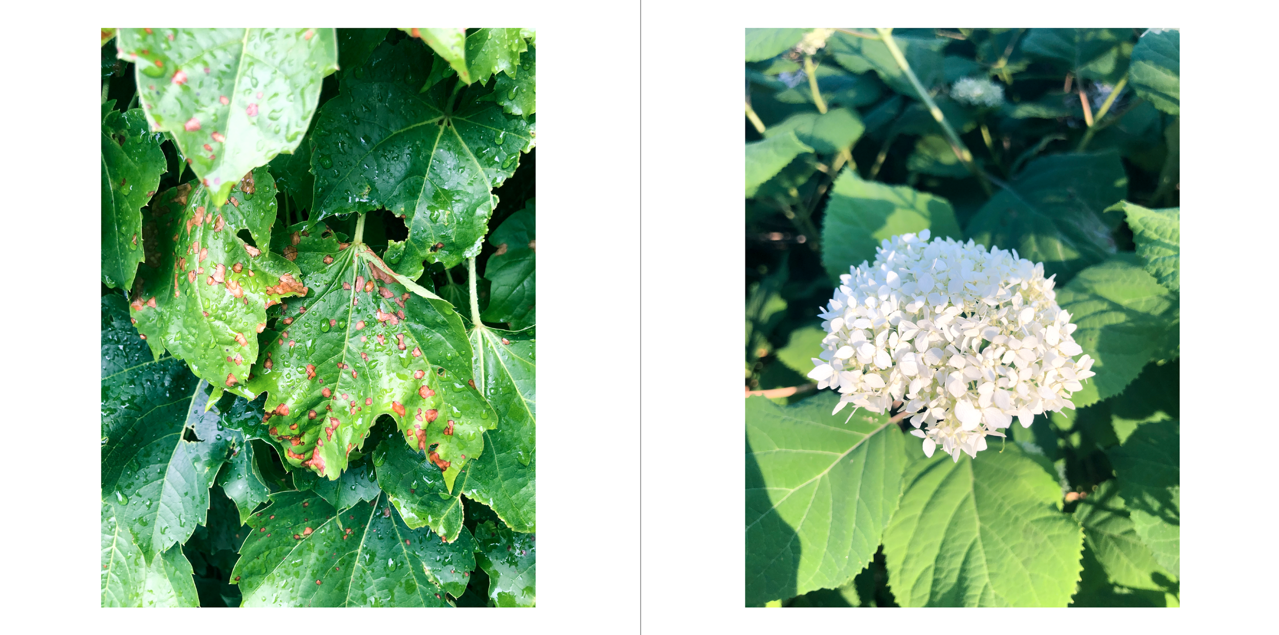 Screenshot 2024-02-13 at 3.33.47 PM.png