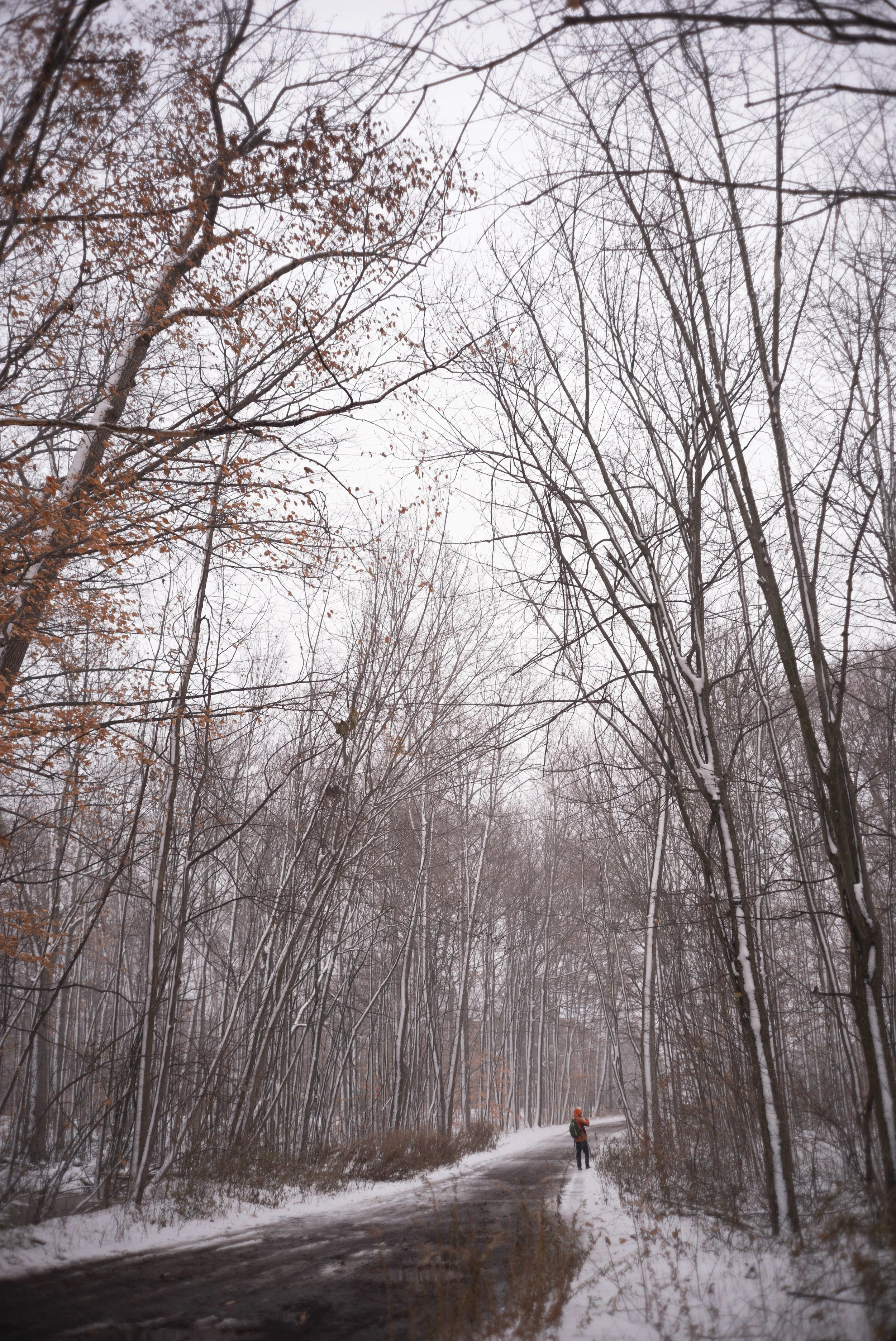 Morrow_B_Call and Response -58.jpg