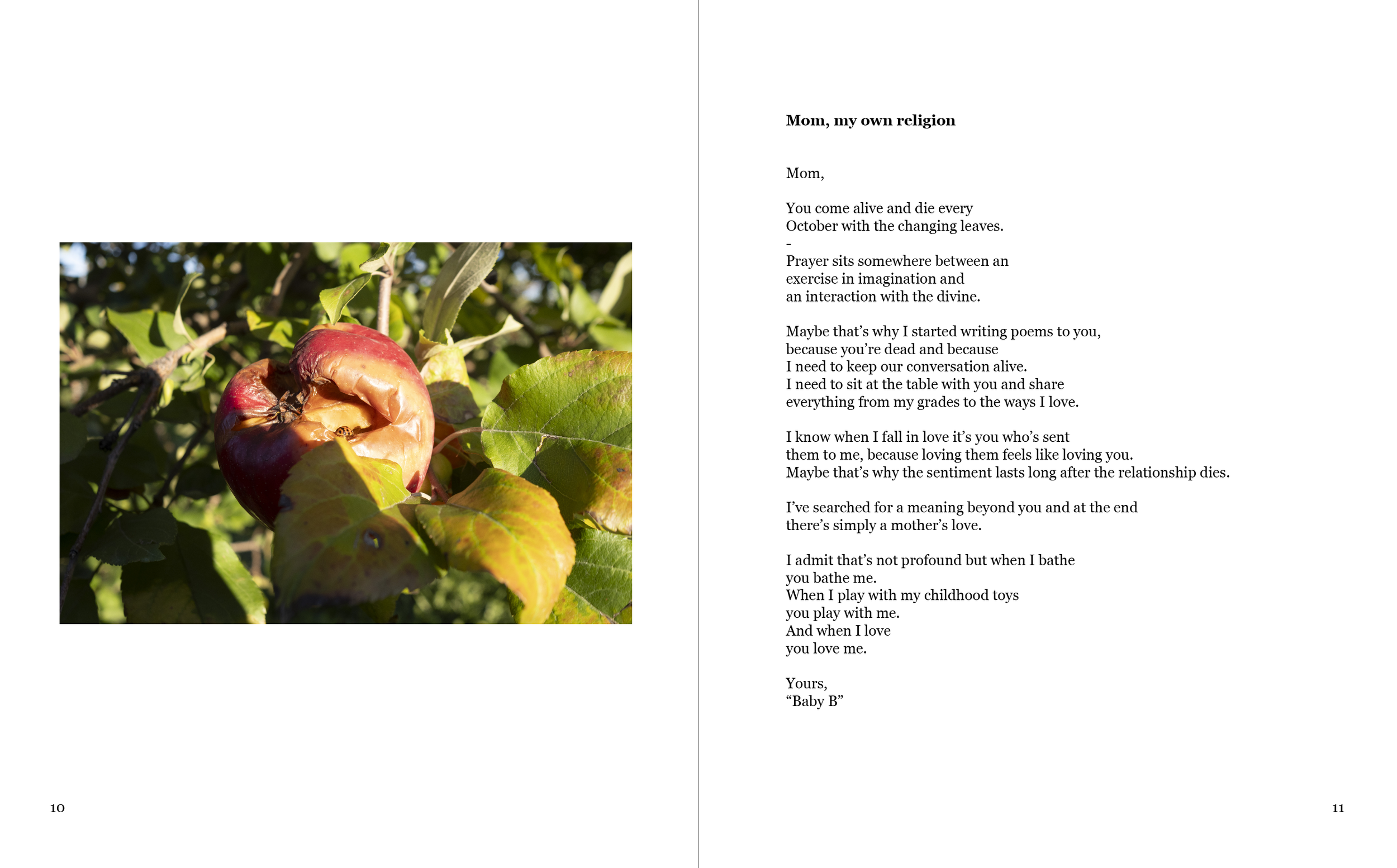 Screenshot 2024-11-04 at 10.35.26 AM.png