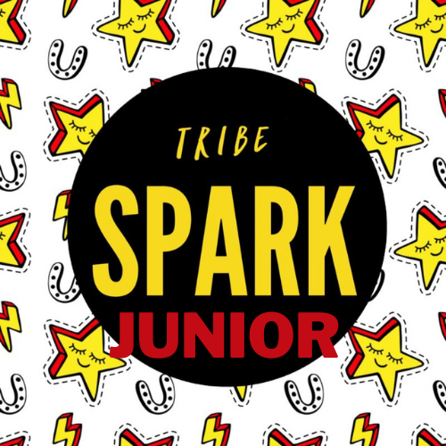 Spark junior.png